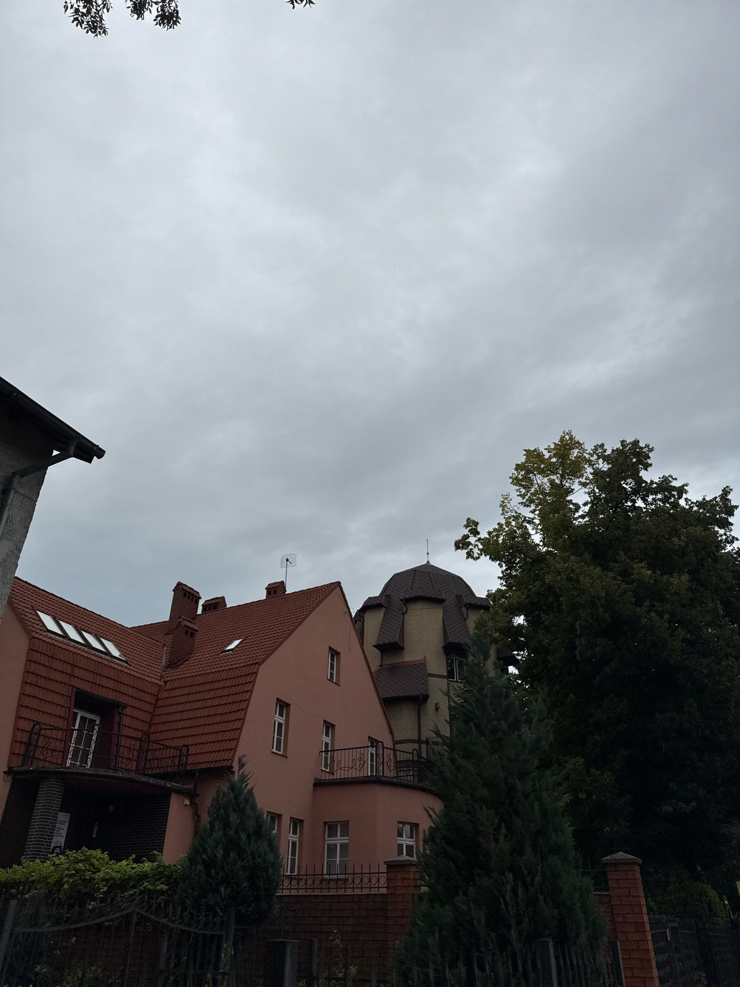 The image captures a view of several buildings and foliage under a cloudy sky in Kaliningrad, Russia. In the foreground, a pink building with a red tiled roof features multiple windows, balconies with wrought-iron railings, and dormer windows on the upper level. To the left, a portion of a grey building with a dark gutter system is visible. Behind the pink building, a taller structure with a domed roof and several windows can be seen. Lush green trees, including a tall, dark evergreen in the middle ground and a large deciduous tree on the right, dominate the background. A dark metal fence runs across the bottom of the frame, in front of a brick wall and more greenery. The sky is overcast, with a uniform grey color. There are no people or animals visible in the image.