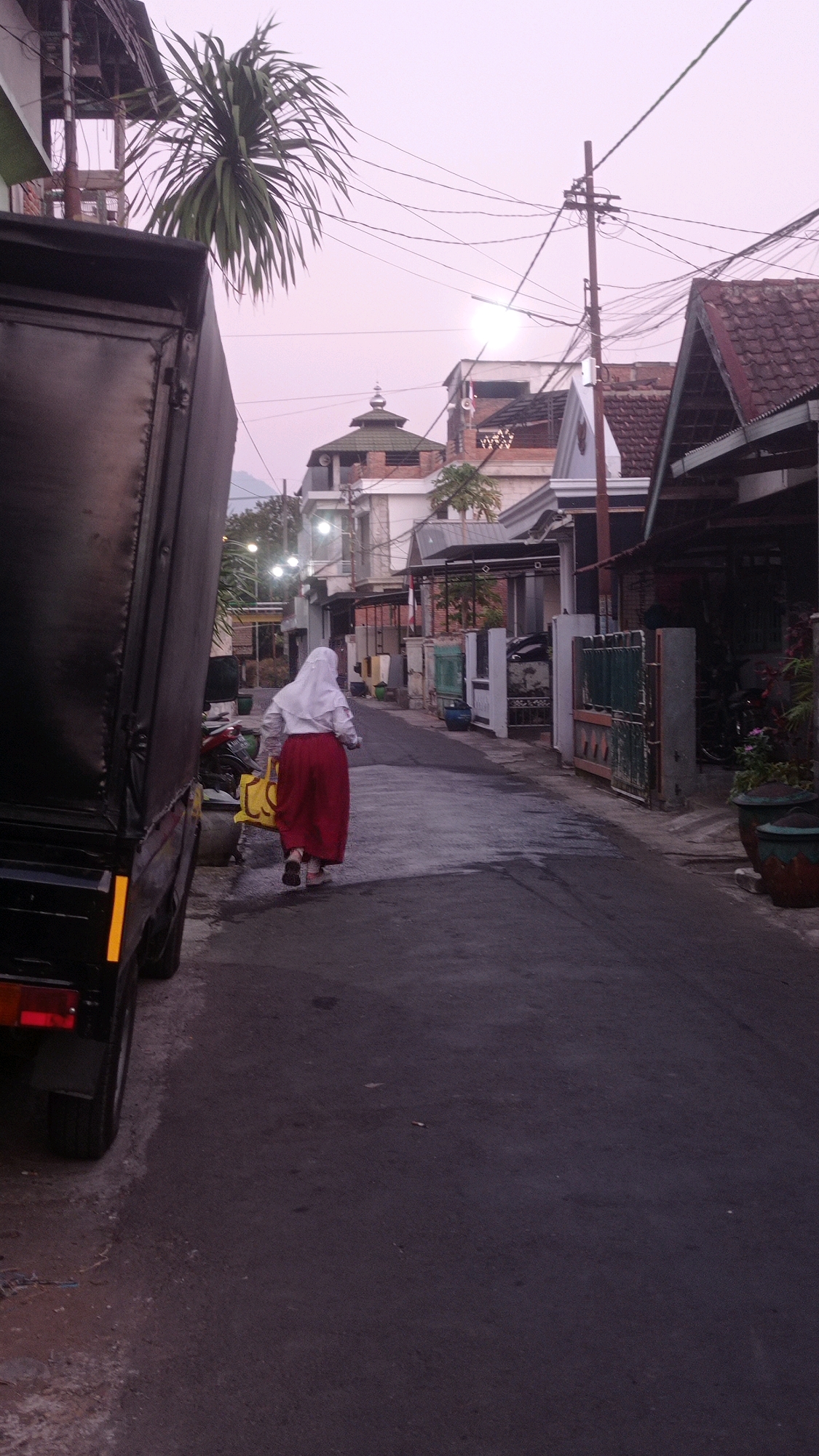 A person wearing a white hijab and a red skirt walks away from the camera down a paved street. The person is carrying a yellow bag in their right hand. The street is lined with houses and fences, and there are several potted plants. A large black truck is parked on the left side of the street, partially obscuring the view of the houses. Overhead, a tangled network of electrical wires crisscrosses the sky. In the distance, a building with a green dome is visible. The sky is a pale pink, suggesting either dawn or dusk. This scene is located on a street in Mulyoagung, Indonesia.