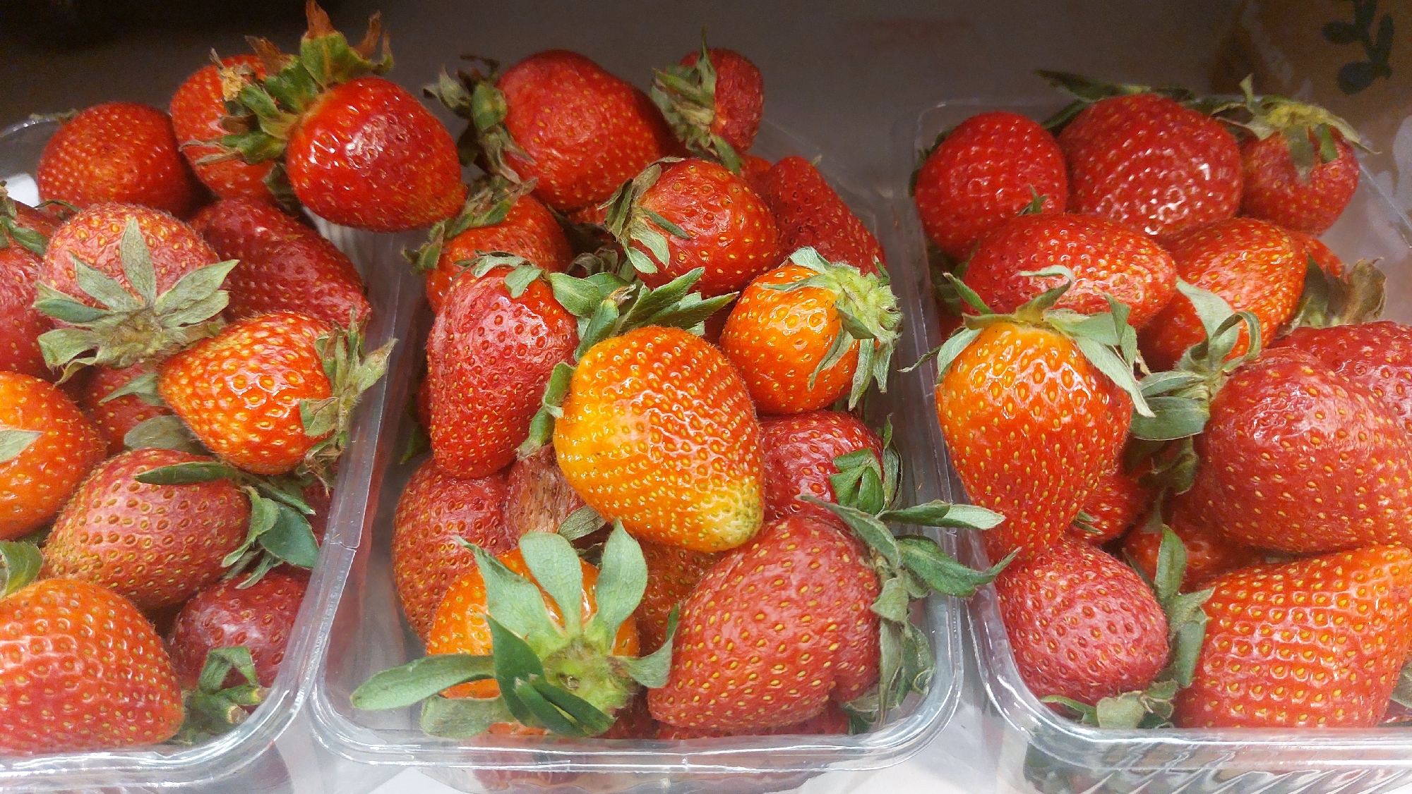 The image shows three plastic containers filled with strawberries. The strawberries are red, with green leafy stems still attached. Some strawberries show shades of orange. The containers appear to be sitting on a light-colored surface. There is no indication of this picture being in Novosibirsk, Russia, or any other specific location. No people are visible.