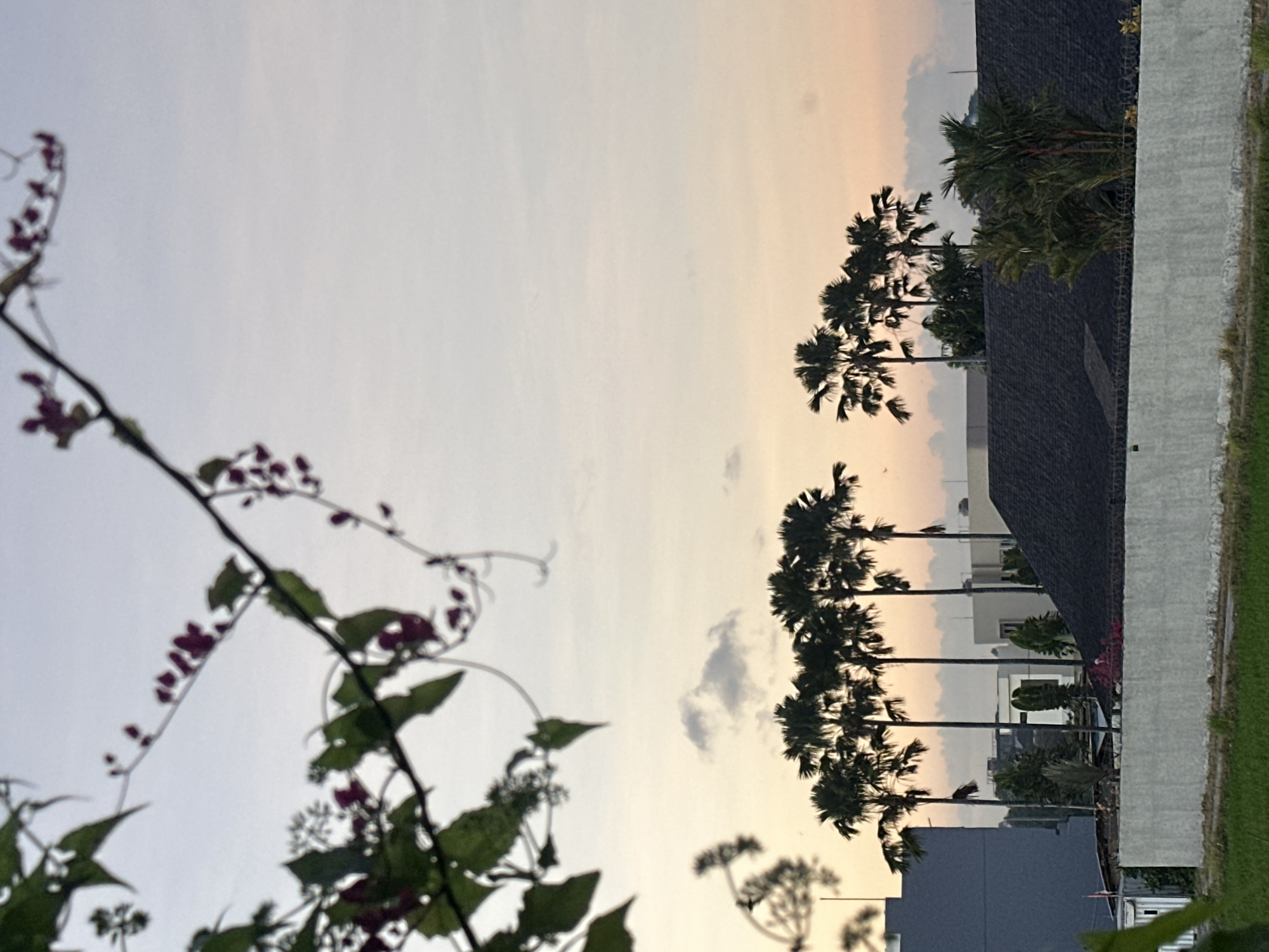 The image depicts a serene outdoor scene at what appears to be dusk or dawn, with a soft, pastel-colored sky. In the foreground, out-of-focus green foliage and a thin branch with small red flowers are visible, framing the view. Beyond this, a row of tall palm trees stands against the horizon, silhouetted by the fading light. Behind the palm trees, several buildings are visible, including a modern grey building on the left, and other structures with dark roofs and lighter walls. A long, low white wall runs across the middle ground, separating what seems to be a cultivated area from the buildings. The environment appears to be semi-urban or a suburban area with lush greenery. Given the presence of palm trees and the architectural style, the location is likely North Kuta, Indonesia, a region known for its tropical climate and coastal environment. There are no people or discernible actions taking place in the image, presenting a still, atmospheric landscape.