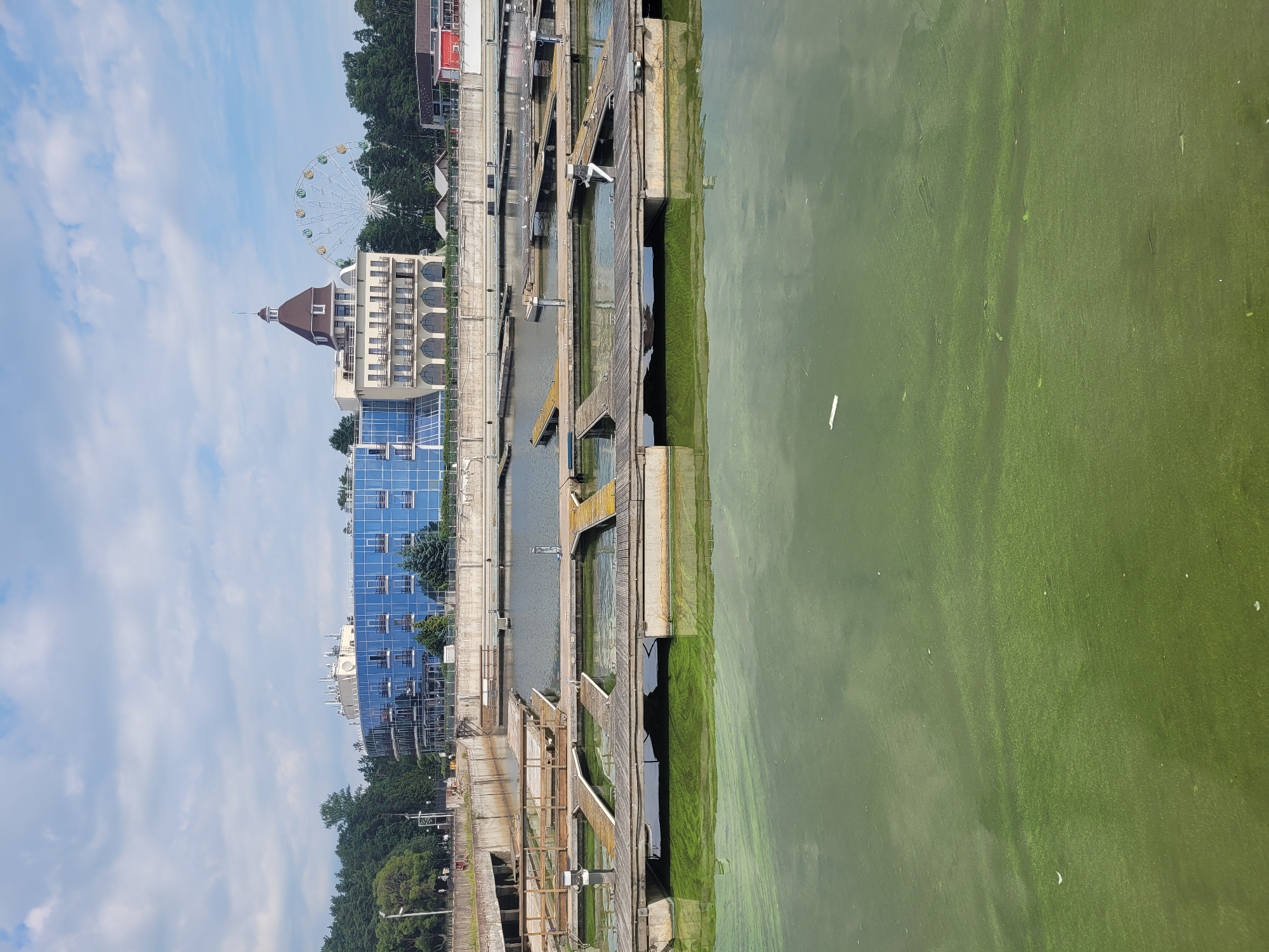 In Zelenogorsk, Russia, the scene depicts a marina on a cloudy day. The water is covered in a thick layer of green algae, indicating potential eutrophication. Wooden docks extend into the water, some with railings and bollards. In the background, a modern building with a blue glass facade stands prominently, alongside another building with a more traditional architectural style featuring a pitched roof and arched windows. A Ferris wheel is visible further in the distance, suggesting the presence of an amusement park or recreational area. The environment appears somewhat neglected, with the algae bloom dominating the foreground of the water.