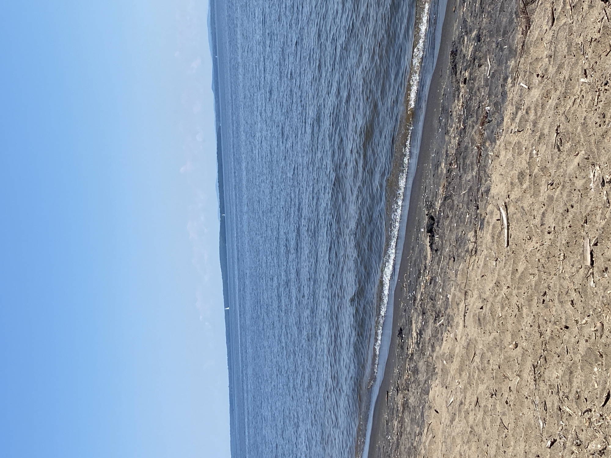 This image depicts a scenic view of a sandy beach bordering a calm body of water under a clear blue sky. The perspective is a low-angle shot, looking out towards the water and horizon from the sandy shore.
The subjects in the image are the natural elements of the scene: the sand of the beach, the water, and the sky. The beach itself is composed of light brown sand with scattered pieces of driftwood and other natural debris. The water is a deep blue, with gentle ripples and a thin line of white foam where it meets the shore, indicating a calm tide. The sky is a vibrant, cloudless blue, suggesting a bright and sunny day. In the distance, faint landmasses or hills can be seen along the horizon, and a few small white sailboat masts are visible on the water.
There is no specific activity or event taking place; the image captures a serene moment in a natural setting. The time of day appears to be daytime, likely mid-morning or afternoon, given the brightness of the sky. The weather seems to be pleasant and clear. The location cues, such as the beach, water, and distant land, suggest a coastal or lakeside environment. There are no visible people, objects, or text in the image. The overall emotion conveyed is one of peace and tranquility.