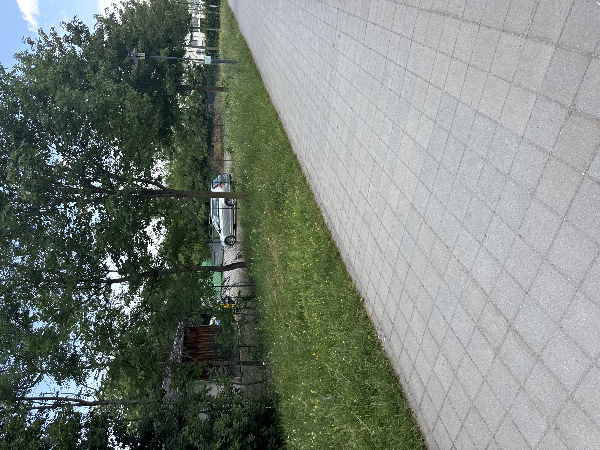 A paved walkway runs diagonally from the foreground to the middle ground of the image, bordered on the left by a strip of overgrown grass and wildflowers. Beyond the grassy area, a metal fence encloses a space with several trees and a wooden structure. A silver station wagon is parked behind the fence. In the background, more trees and modern buildings can be seen. The sky above is partly cloudy. This scene is located in Höhenkirchen-Siegertsbrunn, Germany.