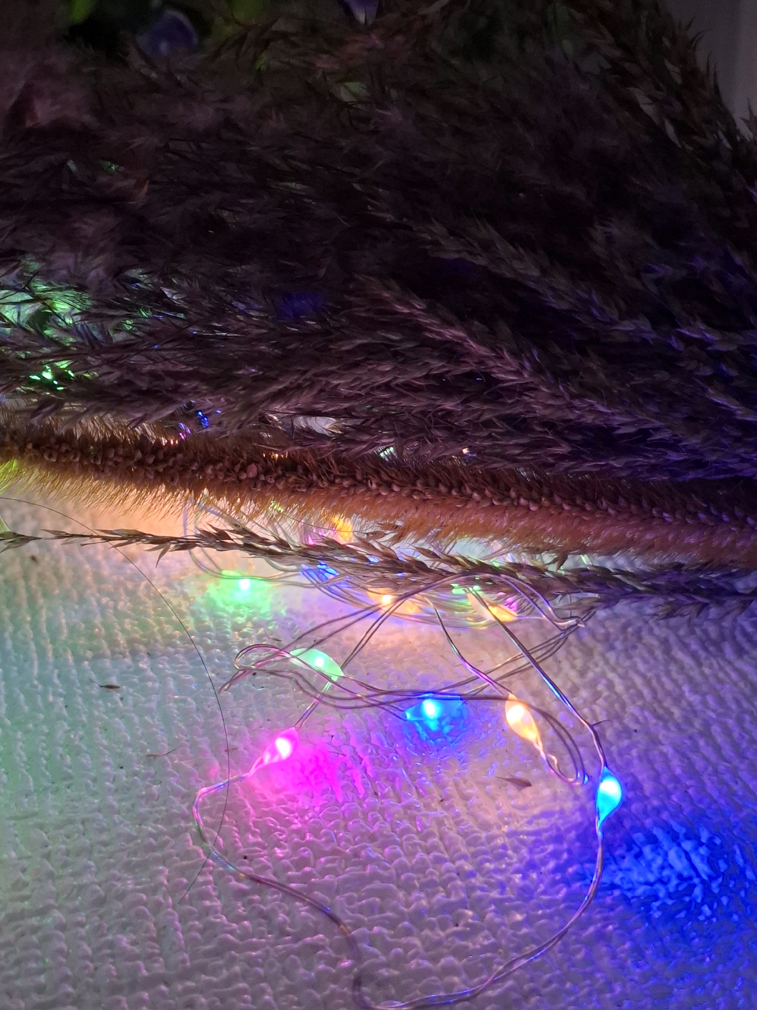 The image depicts a close-up, angled shot of dried grass stalks with small, multi-colored LED lights woven through them. The lights cast vibrant reflections of pink, blue, green, and yellow onto a textured, possibly white or light-colored surface below. The grass is dark brown and appears feathery, with some sections catching the light and showing a golden-brown hue. The overall mood is festive and atmospheric, with the bokeh effect of the lights creating a soft, glowing backdrop. There are no people or any indication of a specific location in North Jakarta, Indonesia, visible in the image.