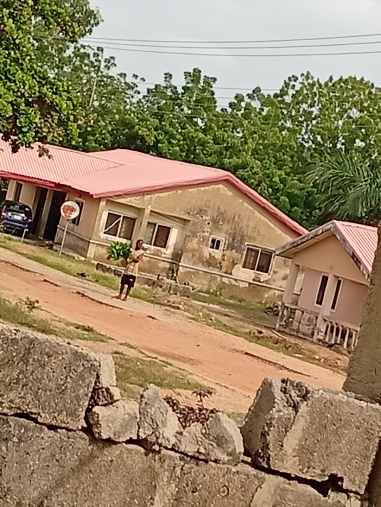 In an outdoor scene, a young person stands on a dirt path near a weathered building with a pink roof. The building appears to be one or two stories, with visible windows and signs of age on its facade. To the left of the main building, a dark-colored car is parked. In the background, lush green trees line the horizon under a cloudy sky. In the foreground, a rough, textured wall made of large, grey stones partially obstructs the view of the scene. The overall impression is that of an undeveloped or rural setting.