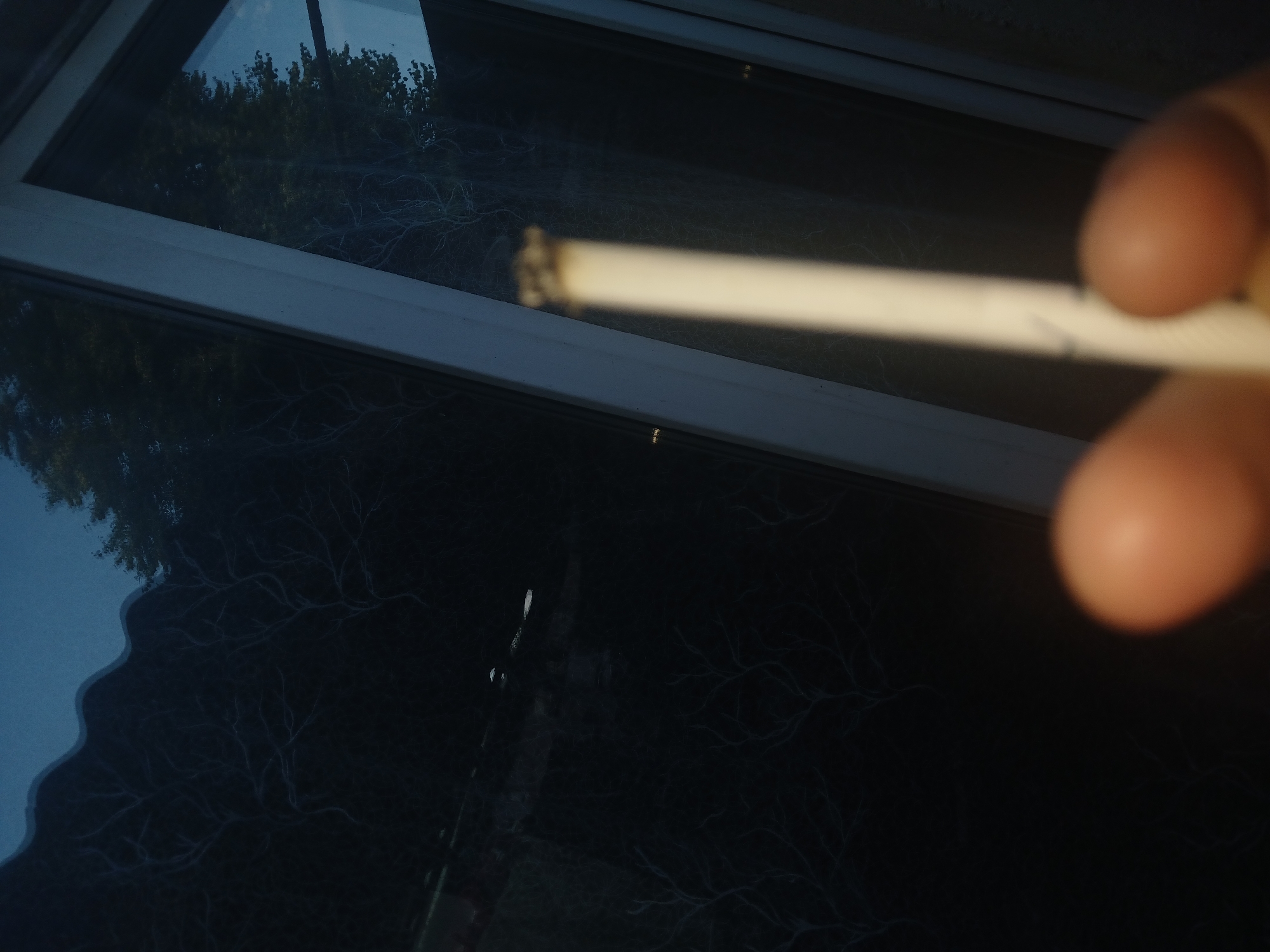 The image captures a close-up of a lit cigarette held in a person's hand, silhouetted against a dark window. The background through the window appears to be a nighttime scene with faint outlines of trees and possibly some man-made structures. The window frame is visible, suggesting an indoor perspective. The overall mood is somber and subdued, possibly indicating a moment of quiet reflection or contemplation. The city of Fastiv, Ukraine, is not discernible from the visual information provided in this image.