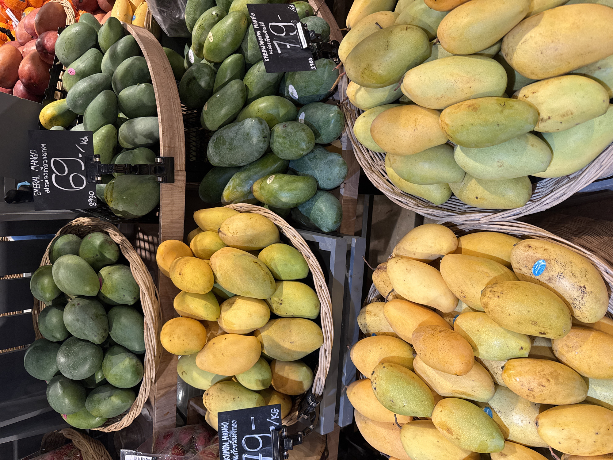 In a market stall in Chiang Mai City Municipality, Thailand, a display of various mangoes is presented. The stall features multiple baskets and crates filled with mangoes of different varieties and ripeness. One basket prominently displays a sign labeling the mangoes as "EMERAL MANGO" and priced at 69 per kilogram. Another basket shows mangoes with a sign indicating a price of 79 per kilogram, labeled as "KHEW SAI MANGO." The mangoes range in color from deep green to yellow and orange, with some showing signs of ripeness and others appearing less mature. The background suggests an indoor market setting with shelving and other produce visible. No people are present in the immediate vicinity of the mango display.