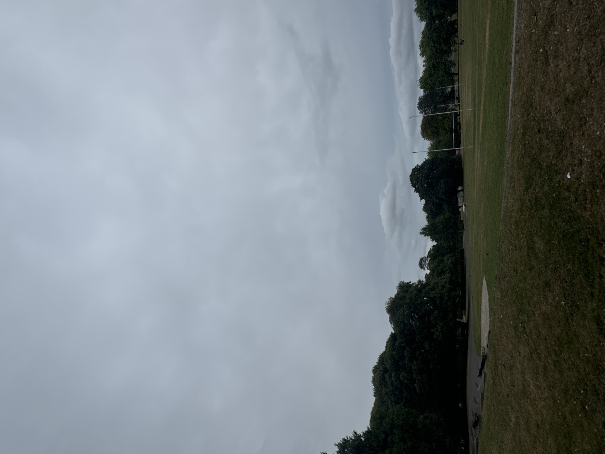 The image depicts a parkland scene under a cloudy, overcast sky. The foreground shows a grassy area, with some patches of dry, straw-like grass. Behind this, a flatter, greener lawn stretches towards a line of mature trees that form a backdrop along the left and center of the image. Further into the park, a sports field is visible with goalposts, suggesting it is a rugby or football field. Several scattered figures, appearing as dark shapes, are present on the field and near the trees, their activities and identities indistinct due to distance and lighting. The environment suggests a public park in Waterford, Ireland, likely being used for recreation. The overall impression is of a quiet, possibly cool, day in the park.