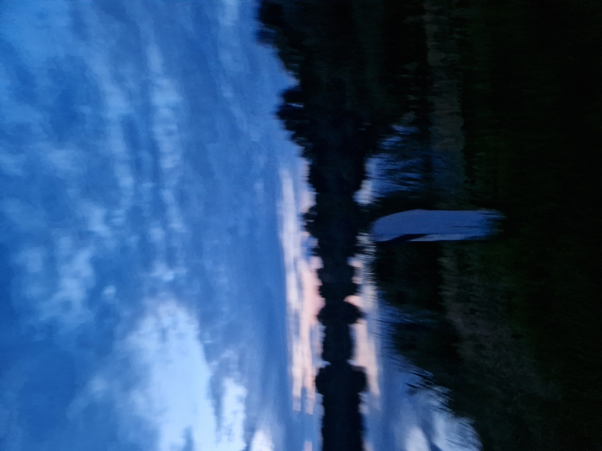 The image depicts a blurred, low-light scene of a body of water, likely a lake or river, with a treeline on the far bank under a dark blue, cloudy sky. The water reflects the sky and the treeline, appearing as a dark, muted landscape. In the foreground, there is a patch of dark grass and what appears to be a white, upright object, possibly a post or marker, also blurred. The overall impression is that of a twilight or early morning setting. The location is unknown.