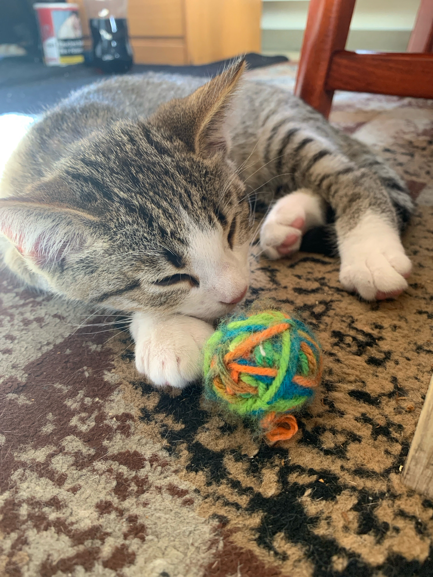 A tabby kitten with white paws and chest is sleeping on a carpet. Beside the kitten's head is a ball of yarn made of green, blue, and orange threads. The kitten's left paw is resting near the yarn. In the background, a wooden chair leg is visible, and further back, there are some blurry objects, including what appears to be a carton of cigarettes and a dark bottle. The environment suggests an indoor setting, possibly a living room or a bedroom. There is no discernible information about the location in Herford, Germany, within the image itself.