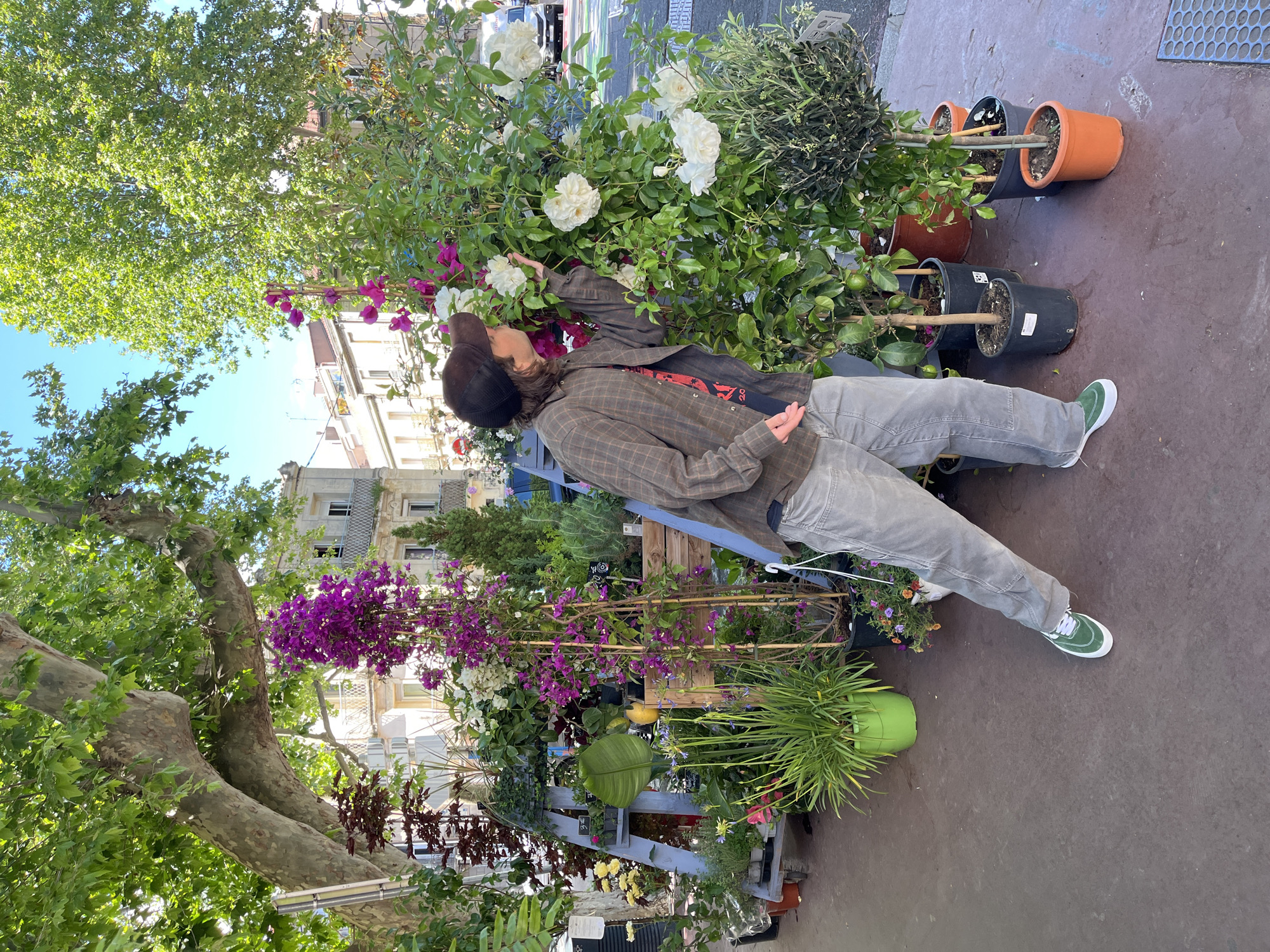 A man in gray pants and a plaid shirt is standing next to a display of flowers in Montpellier, France. The flowers are mostly white and purple, and they are in pots of various sizes. The man appears to be smelling or touching the flowers. The background shows trees and buildings, typical of a city street scene.