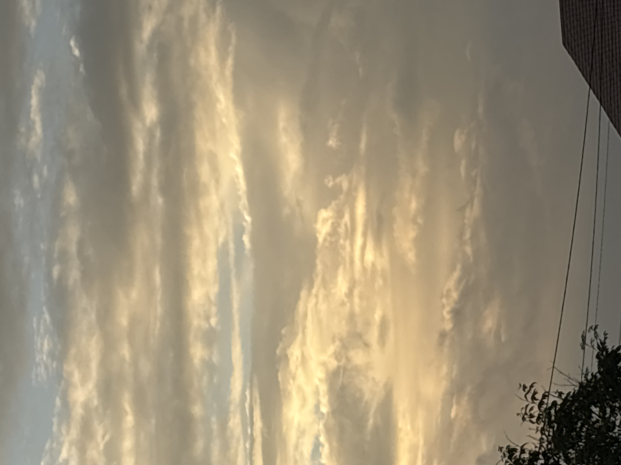 The image shows a sky filled with layered clouds illuminated by golden sunlight. The clouds are textured with varying shades of yellow, gray, and white, suggesting a late afternoon or early morning setting. In the lower portion of the frame, the dark silhouette of foliage from a tree is visible on the left, extending upwards. A dark, sloped roofline of a building is present in the lower right corner. Two parallel dark lines, likely power or utility lines, stretch horizontally across the lower part of the image, intersecting the foliage and extending towards the building. The image is taken from a ground-level perspective, looking upwards at the sky. There are no people or animals visible in the image. The scene depicts a natural sky phenomenon against a backdrop of a domestic or urban environment.