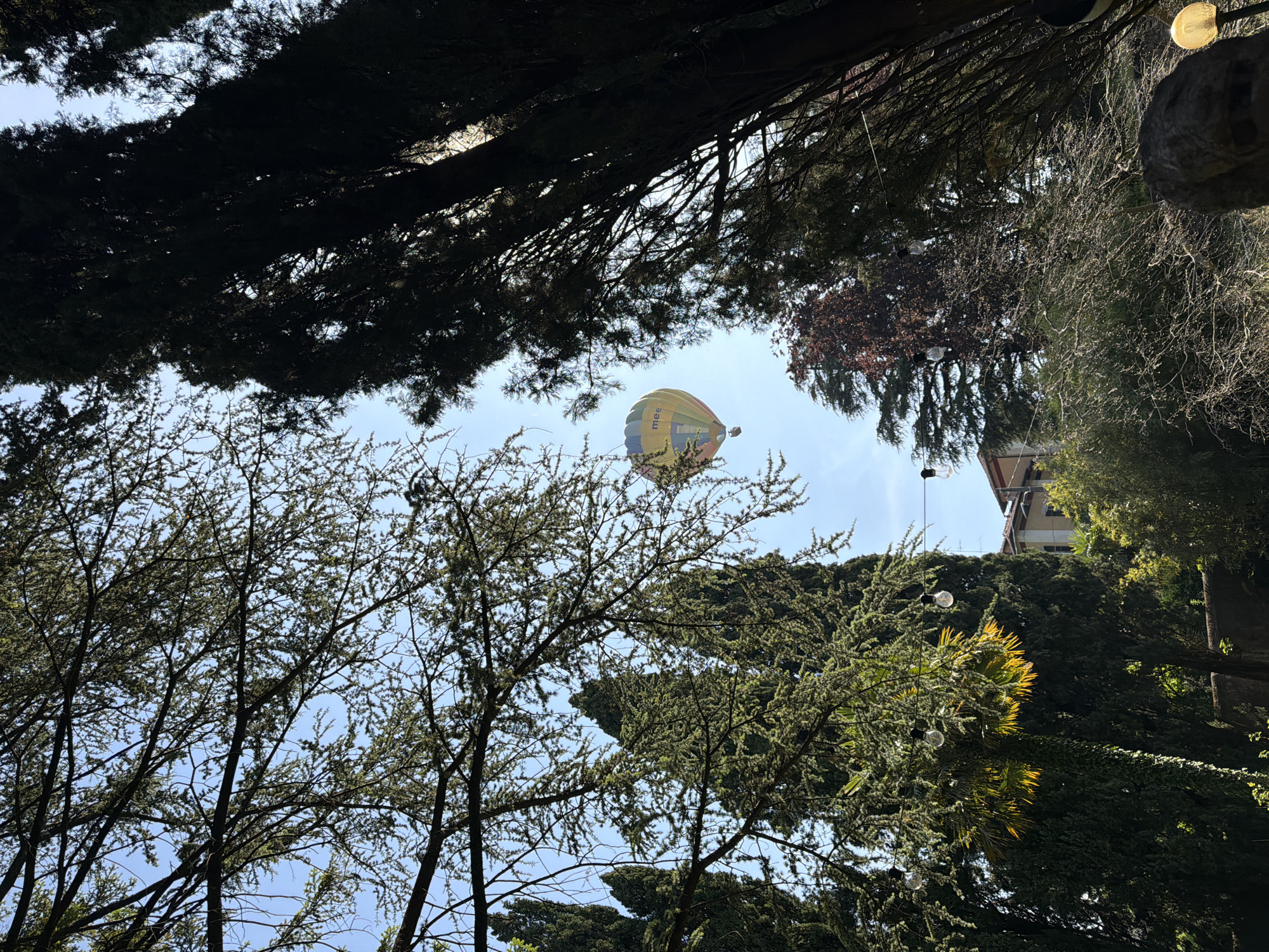 The image, likely taken in Penzano, Italy, shows a colorful hot air balloon in the sky, viewed through the branches of various trees. The balloon is predominantly yellow and blue, with lettering on its side. The surrounding vegetation includes both dense, dark trees with thick foliage and more sparse trees with finer branches. A building with a tan facade is partially visible on the right side of the frame. String lights are also visible, suggesting an outdoor gathering space.