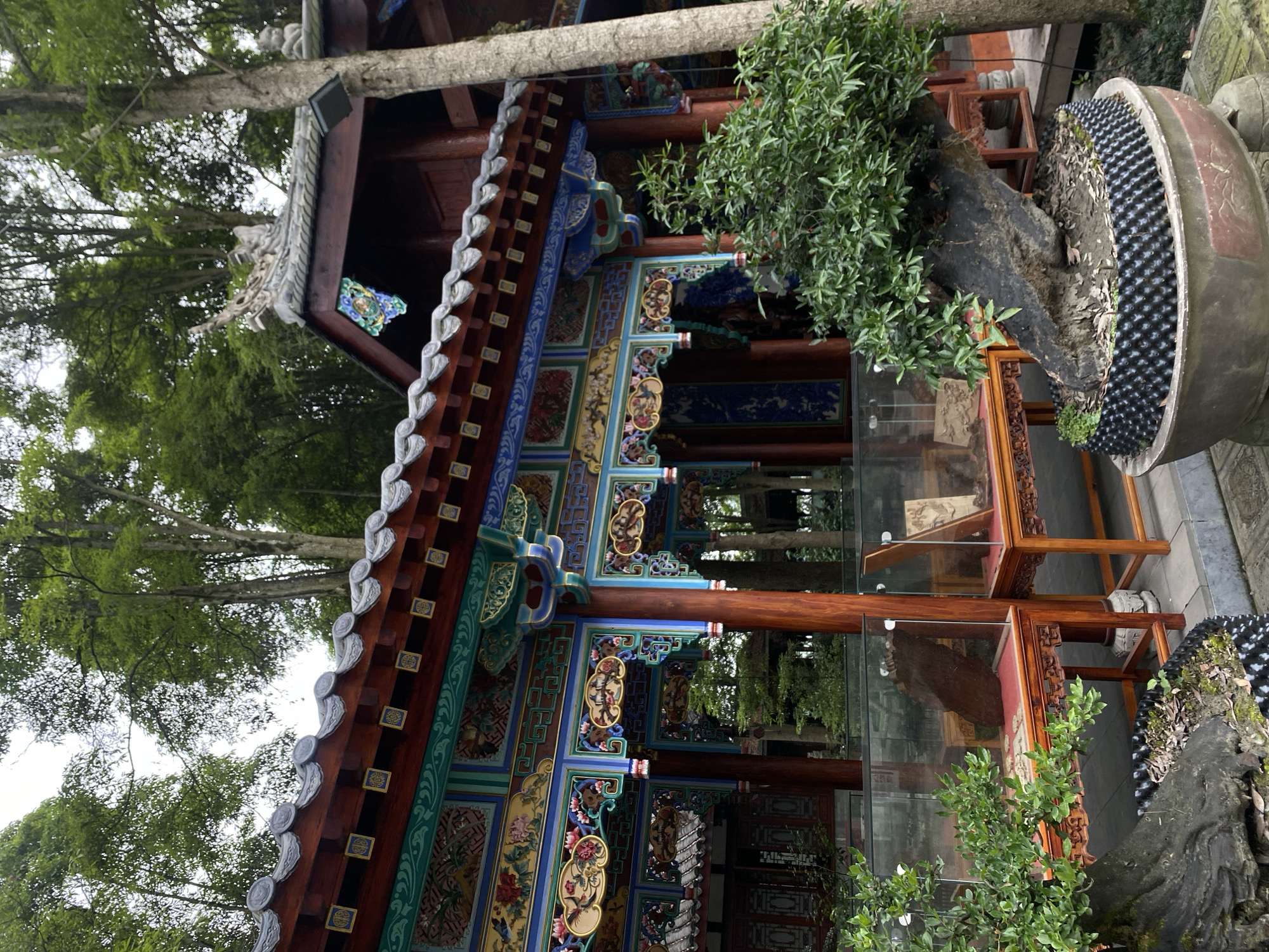 In Chongzhou City, China, a traditional Chinese building with intricate, colorful architectural details is situated amongst lush greenery. The building features a red wooden structure with ornate carvings and paintings on its eaves and columns. The roof is adorned with grey tiles and decorative elements. In the foreground, a large bonsai tree with a gnarled trunk sits in a pot, contributing to the natural setting. Display cases with what appear to be artifacts or exhibits are placed near the bonsai, protected by glass. The scene is framed by tall trees, creating a serene and culturally rich environment.