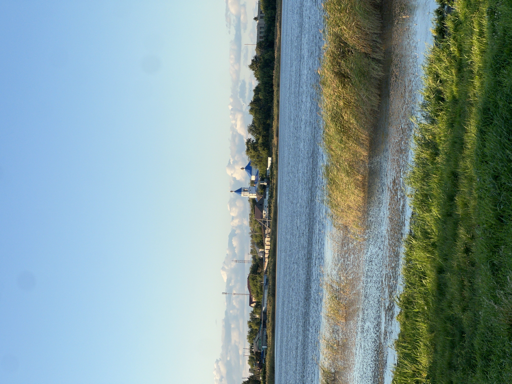 The image depicts a serene daytime scene in the village of Pivkino, Russia, overlooking a body of water. In the foreground, lush green grass lines the bank of the water. The water itself is calm with patches of dry reeds growing near the shore and extending into the middle. Across the water, the village of Pivkino is visible. Dominated by a white church with a bright blue dome and spire, the village also features several houses and trees. Communication towers are also present among the buildings. The sky above is a clear, light blue with scattered white clouds. The overall impression is one of a peaceful rural landscape.