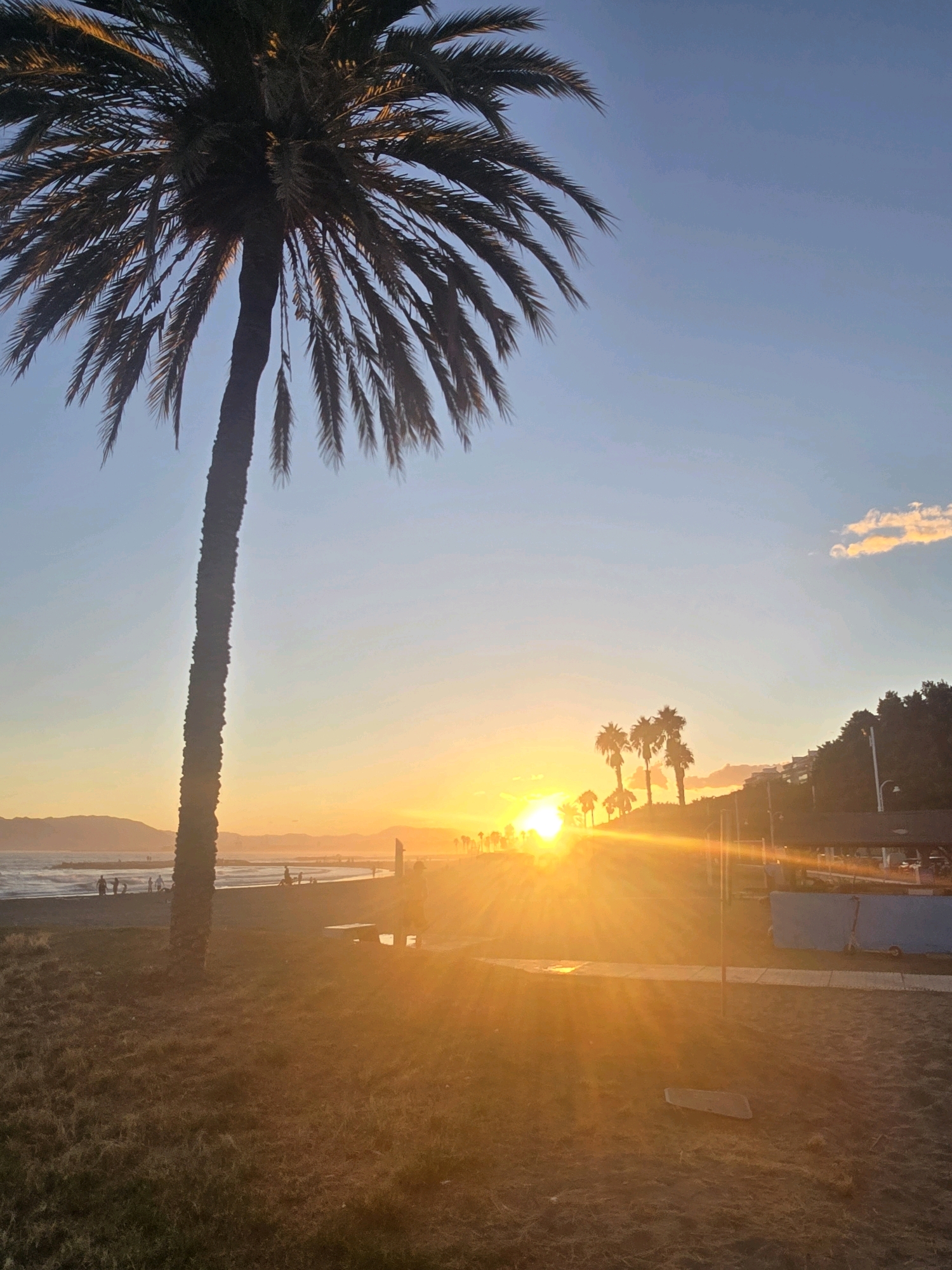 The image depicts a sunset over a beach in Málaga, Spain. In the foreground, a tall palm tree dominates the left side of the frame, its fronds silhouetted against the bright sky. The ground in the immediate foreground is covered with dry grass and some debris. Beyond the palm tree, a sandy beach stretches towards the ocean, where gentle waves are breaking. Several individuals are visible on the beach, scattered and engaged in various activities, with some walking and others appearing to be relaxing. In the middle ground, a pathway or promenade runs along the beach, and a few palm trees are clustered together on a slight incline to the right, where a building complex with balconies is visible on the hillside. The sun is low on the horizon, casting a warm, golden glow across the scene, creating lens flares and illuminating the sky with vibrant oranges and yellows. The sky transitions from a bright yellow near the horizon to a clear blue at the top of the frame, with a small, wispy cloud present in the upper right. The overall atmosphere is serene and evokes a sense of a peaceful evening by the sea.