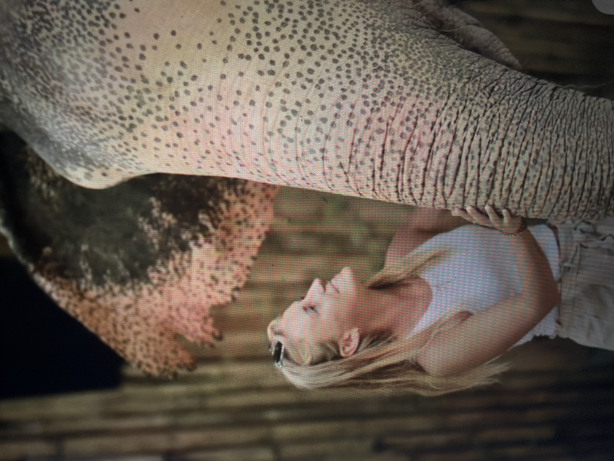 This image depicts a woman interacting with a large elephant. The scene is located in Shumen, Bulgaria.
On the left, a blonde woman is positioned in profile, facing right and looking upwards towards the elephant. Her hair is pulled back, with dark sunglasses resting on top of her head. She is wearing a light-colored, possibly white, tank top and light-colored, loosely fitting pants. Her right hand is gently placed on the elephant's wrinkled skin.
The elephant dominates the right side of the frame. Its skin is a textured, light gray color, densely covered with numerous small, dark spots. Prominent horizontal wrinkles are visible on what appears to be a leg or trunk section. A portion of the elephant's ear is visible at the top center, displaying a reddish-brown, uneven texture. The background is blurred, showing vertical, muted brown and green elements, suggesting natural vegetation like bamboo. The lighting suggests an outdoor setting. The image itself exhibits a screen-door effect or pixelation, characteristic of a photograph of a digital display.