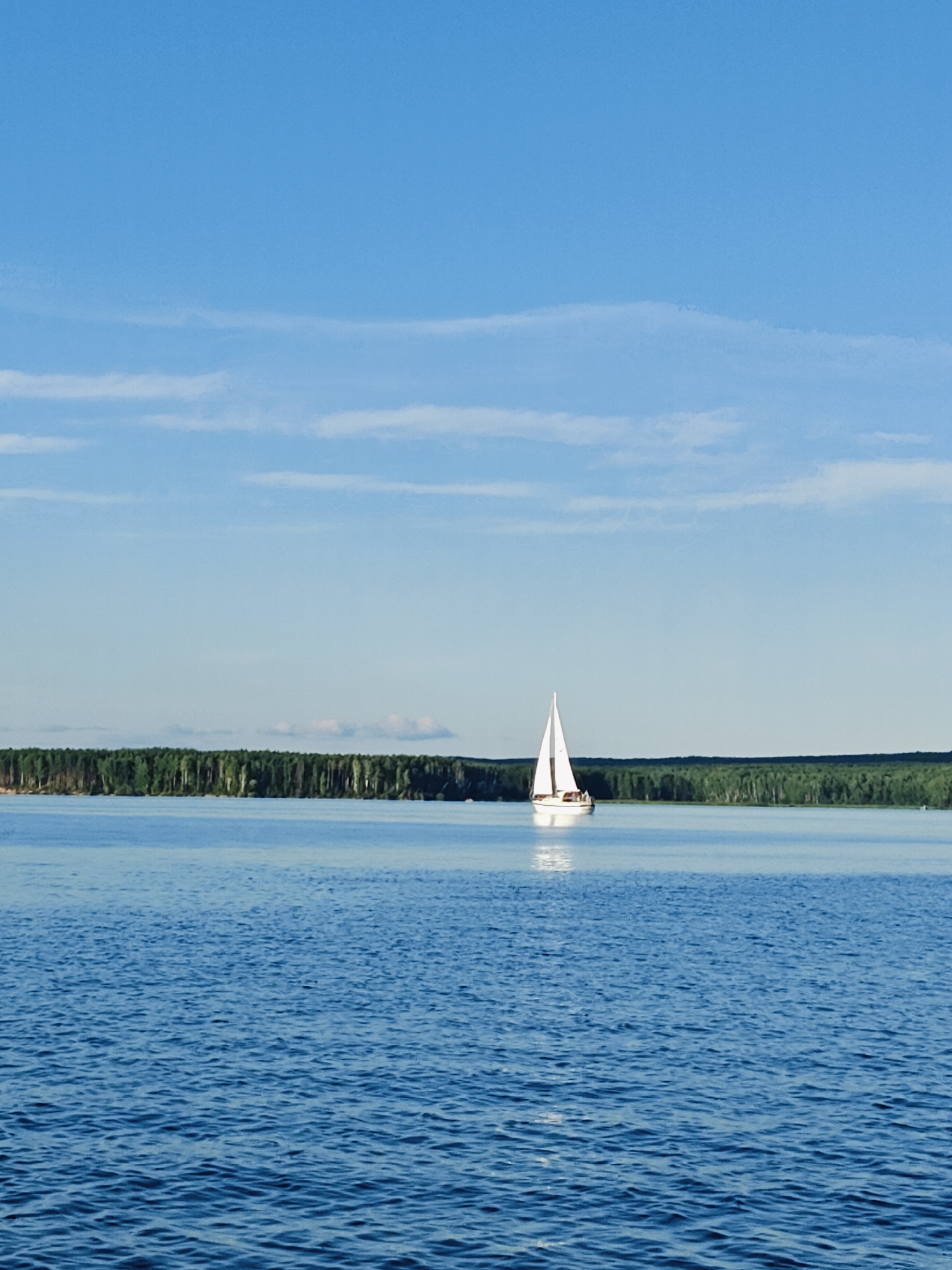 A sailboat with white sails is navigating across a calm, blue body of water. In the distance, a dense, green forest lines the horizon. The sky above is a clear, bright blue with a few wispy white clouds. The overall scene suggests a serene day on the water, possibly during the summer months. The location is the Kama River in Chaikovsky, Russia.