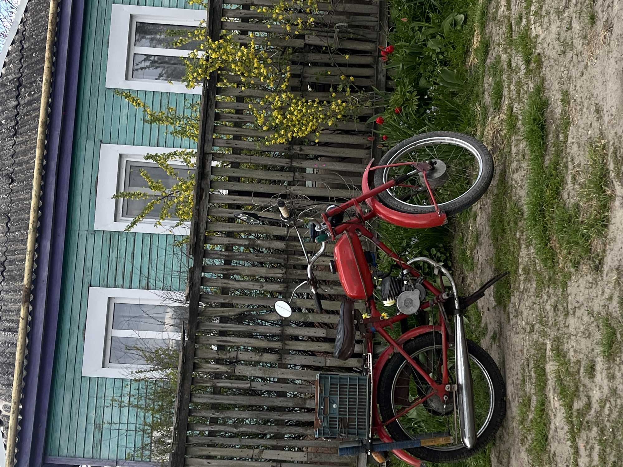 A red moped stands on a dirt and grass area in front of a wooden fence, with a blue and green building visible in the background. Yellow flowers are growing on the fence. Red flowers are also visible nearby. The location is identified as Novopokrovskaya, Russia.