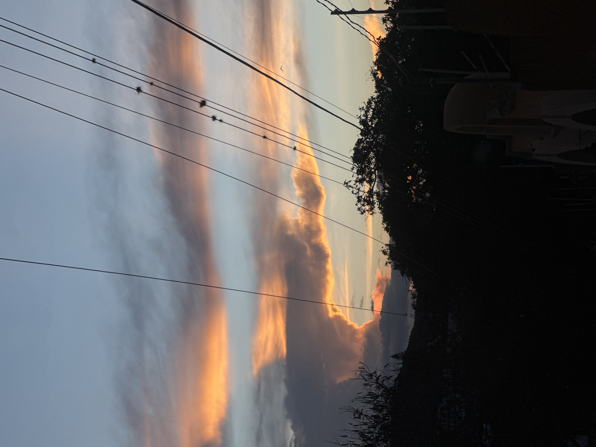 The image captures a sunset scene in Oaxaca City, Mexico. In the foreground, electrical lines run across the frame, with several dark objects, possibly birds, perched on them. The sky displays streaks of orange and gray clouds, indicating either sunrise or sunset. The horizon is obscured by dark silhouettes of trees and a building. The overall impression is one of urban nature, with the power lines contrasting against the natural beauty of the sky and vegetation.