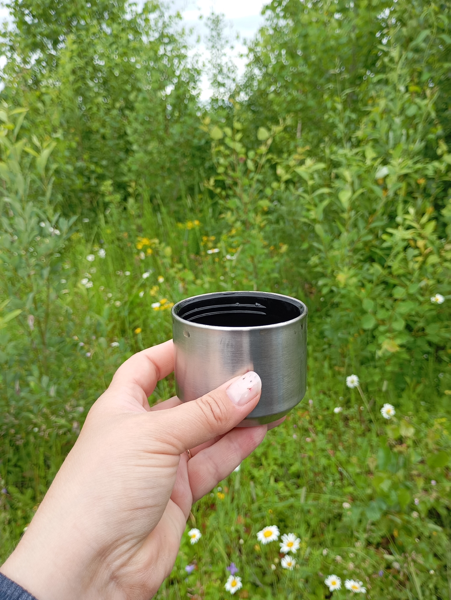 In the city of Detkino, Russia, a hand holds a stainless steel mug against a backdrop of lush green foliage and small white and yellow wildflowers. The mug appears to be empty, with its interior showing a dark surface. The person's fingernails are visible and appear to have a light pink polish. The background is softly blurred, suggesting a shallow depth of field, with the greenery dominating the scene.