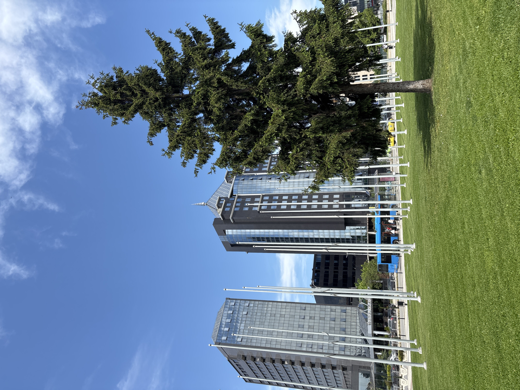 The image depicts a sunny day in Plovdiv, Bulgaria. A large green lawn occupies the right side of the frame. A tall evergreen tree stands between the lawn and two modern high-rise buildings in the background. A row of white flagpoles lines the edge of the lawn. A blue bus can be seen behind the flagpoles. The sky is blue with scattered white clouds.