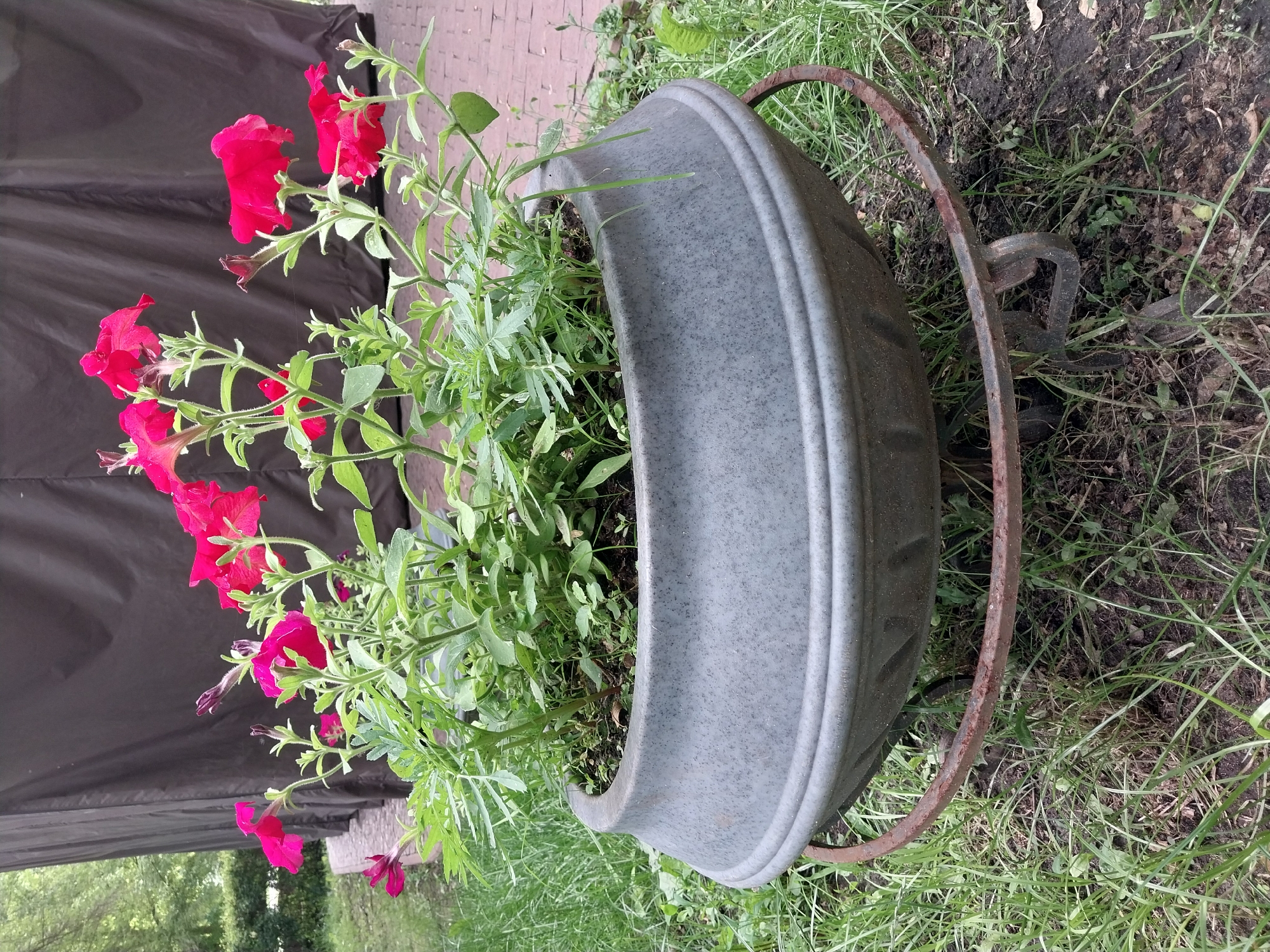 The image shows a close-up view of a large, dark grey, weathered planter filled with vibrant pink petunias and green foliage. The planter is elevated on a rusty metal stand and sits on a patch of grass. In the background, a dark brown tarp or fabric is draped, possibly covering a structure. The setting appears to be outdoors, with trees and greenery visible beyond the tarp. The overall impression is one of a garden or outdoor decorative display. There are no people or animals visible in the image, and no explicit indications of the specific location within the city of Dnipro, Ukraine.