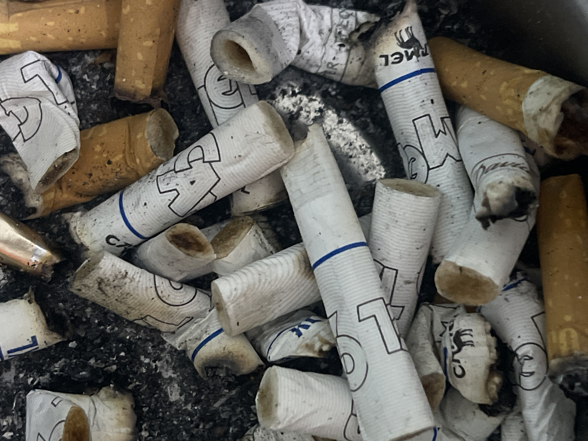 The image depicts a collection of discarded cigarette butts in an ashtray. The butts are a mixture of white paper with blue banding and tan filters. Some of the butts have the word "CAMEL" printed on them along with a camel silhouette. There are also remnants of black ash. The location is not discernible in the image and could not be determined to be in the city of Zelenograd, Russia.
