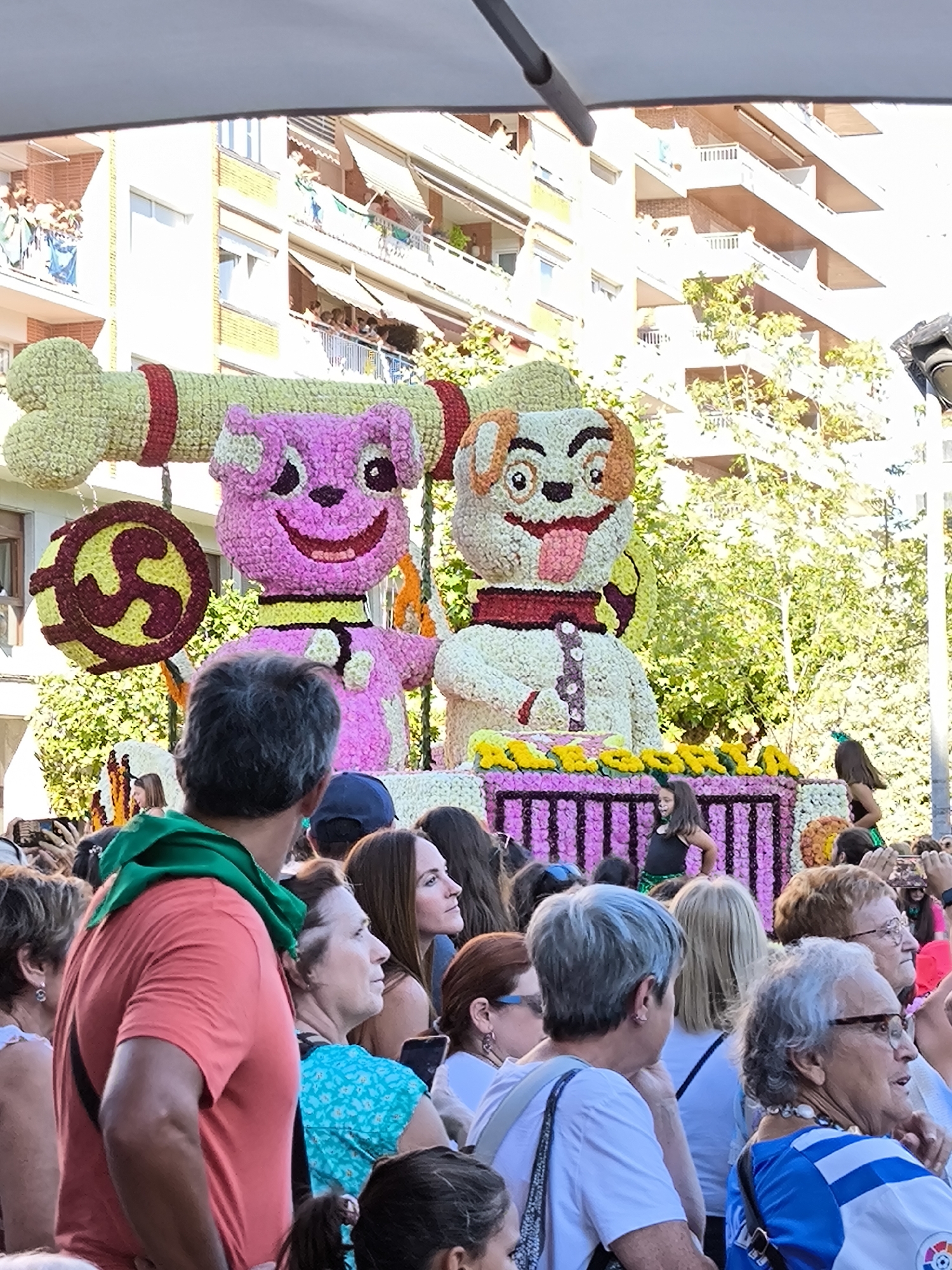 This image captures a vibrant street scene in Laredo, Spain, likely during a festive event. The foreground is filled with a diverse crowd of spectators, their faces turned towards a large, elaborately decorated float. The float is adorned with floral arrangements, featuring two prominent cartoon-like dog figures, one pink and one white and tan, resembling characters from the Paw Patrol franchise. A large, green bone-shaped object with red accents is suspended above the pink dog. To the left of the pink dog, a circular emblem with a yellow "S" shape on a dark background is visible. In front of the float, a girl in a black top and green sequined skirt stands. The background shows multi-story buildings with balconies, indicative of an urban environment. People are visible on the balconies, observing the festivities. Sunlight illuminates the scene, casting shadows and highlighting the colorful decorations and the expressions of the onlookers. The overall atmosphere appears to be one of celebration and community gathering.