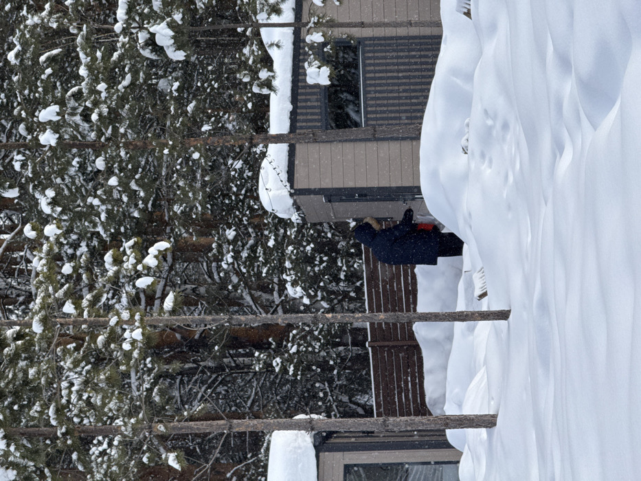 This image captures a winter scene in Sysert, Russia. The ground is covered in deep, undulating snow. In the mid-ground, a solitary individual, dressed in a dark blue hooded winter coat with a fur-lined hood, stands facing away from the camera, slightly turned toward the right. This person appears to be interacting with the dark door of a light-brown sided structure, holding a red object (possibly a bag or container) in their left hand. This structure features a flat, snow-covered roof with a string of small lights draped along its edge, and a dark-framed window or opening on its right side. To the far left, a portion of a similar building with a large glass panel is partially visible. A dark-brown horizontal slatted wooden fence, partially buried in snow, extends between the two structures. The background is dominated by a dense forest of snow-laden conifer trees. Light snowfall is observable throughout the scene.