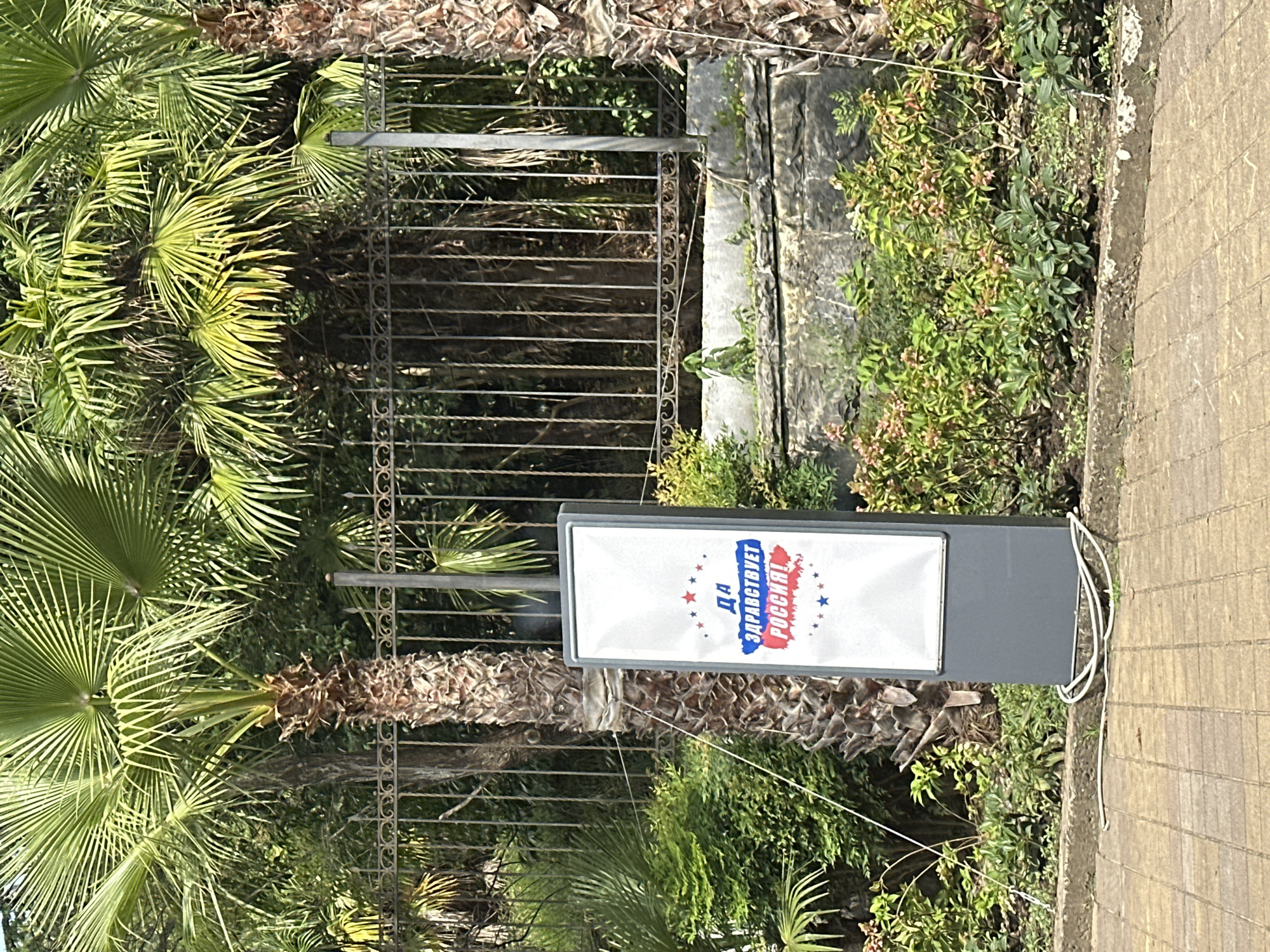 The image shows a sign that says "YES TO RUSSIA!" in Russian with a red, white, and blue design. The sign is in front of a metal fence and palm trees. The location is Sochi, Russia. The sign is a tall, rectangular digital display. The text is in Russian. The background is lush with green foliage and palm trees. The fence appears to be old and ornate. The ground is paved with square tiles. There are no people in the image.