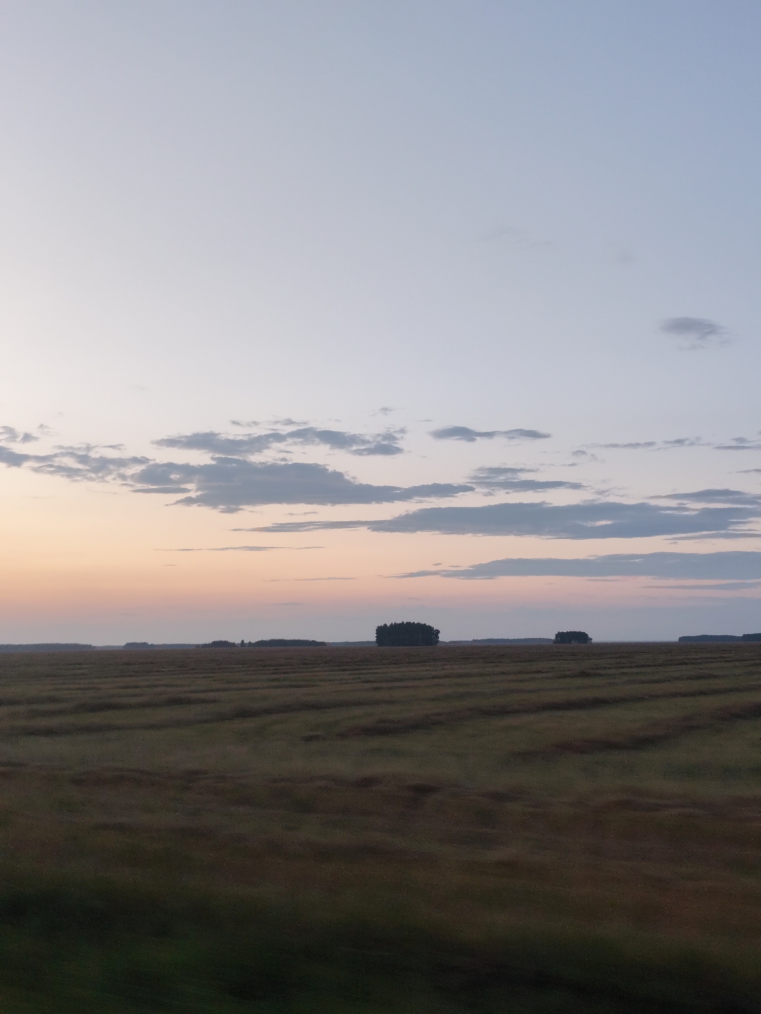 This is a photograph taken at dusk in a rural area, possibly in the vicinity of Ayutas village district, Kazakhstan. The sky is a pale gradient of light blue and pink, with wispy clouds scattered across it. The horizon is low, with a flat, cultivated field stretching out below. The field appears to be recently harvested or mown, with visible rows and patterns suggesting agricultural activity. In the distance, silhouetted against the horizon, are clusters of trees. The overall impression is one of a peaceful, open landscape at the end of the day. There are no people or animals visible in the image.