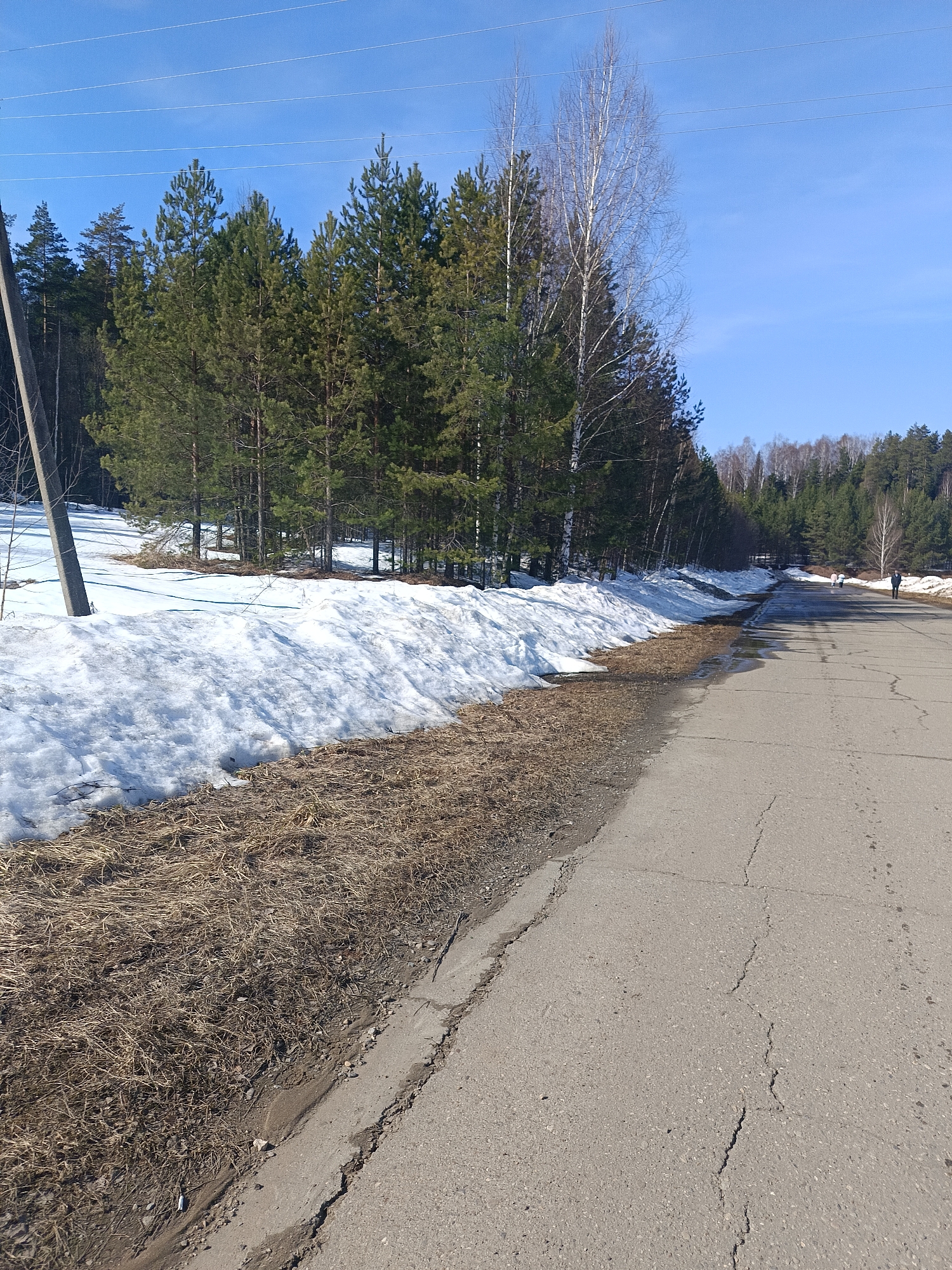 The image depicts a rural scene with a paved road running through it. Snowdrifts line the left side of the road, bordering a grassy verge. A mix of coniferous and deciduous trees grows adjacent to the snow. Power lines are visible overhead. In the distance, people are walking along the road. The scene is set on a sunny day with a clear blue sky. The location is assumed to be within the city of Chaikovsky, Russia based on the request context.