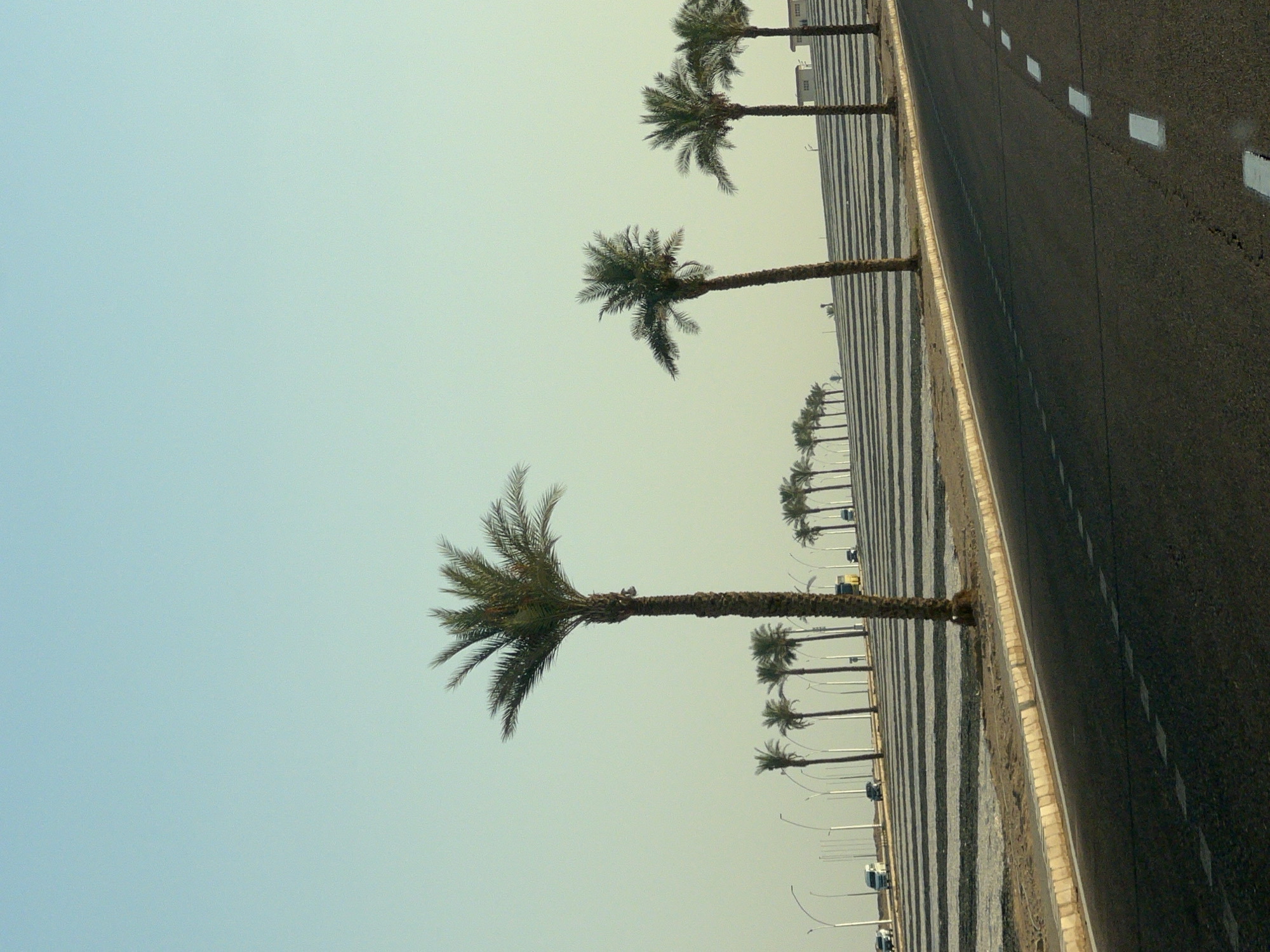 The image depicts a roadside scene in Sharm El Sheikh, Egypt, characterized by a clear sky and a row of palm trees lining a road. The road itself is asphalt with white dashed lines indicating lanes. To the left of the road, there is a sandy area with some vegetation and streetlights. Further back, a series of dark and light striped patterns dominate the landscape, suggesting some form of terracing or landscaping, with more palm trees and some buildings visible in the distance. Several vehicles, including white vans and dark cars, are present on the road and in the adjacent area. The overall impression is one of a well-maintained urban or suburban environment in a warm climate.