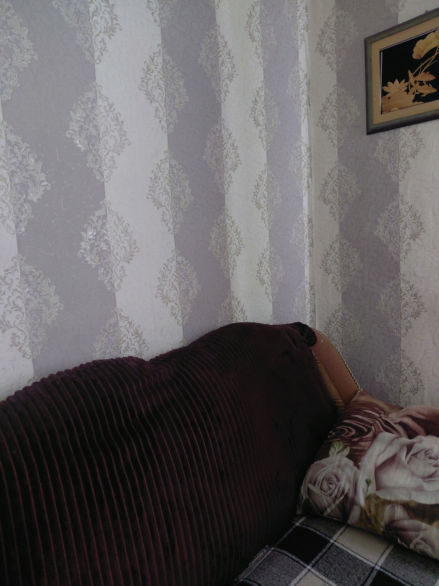 The image depicts an indoor scene, likely a living room, in Malinovka, Russia. A plush, dark burgundy sofa occupies the foreground, its textured surface featuring prominent vertical pleats. To the right of the sofa, a pillow with a floral pattern, showcasing large roses, rests on a checkered blanket. In the background, the wall is adorned with wallpaper featuring a damask pattern in shades of gray and white, arranged in vertical stripes. A framed picture hangs on the upper right portion of the wall, its contents unclear but appearing to depict a natural scene with botanical elements. The lighting suggests an indoor environment, possibly during daytime, with diffused natural light. There are no people visible in the image.