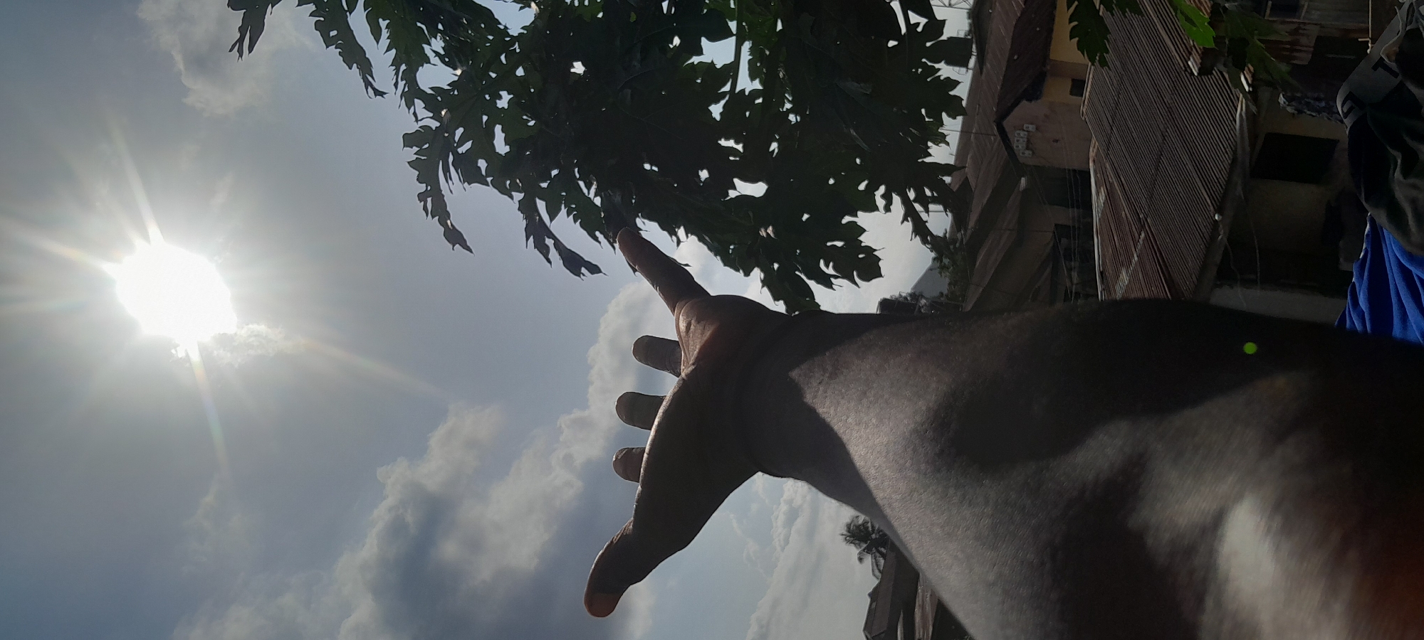 A close-up, low-angle shot shows a person's forearm and hand reaching upwards towards a bright sun in a cloudy sky. The sun is high and appears to be the primary light source, casting shadows on the arm. The hand is open with fingers spread, suggesting an action of reaching or grasping. In the background, the rooftops of buildings are visible, indicating an urban or semi-urban environment. A tree with large leaves is positioned to the right, partially obscuring the sky and the buildings. The overall scene is set outdoors, likely during daytime, with a focus on the interplay of light, the human form, and the surrounding environment. The specific location in Abuja, Nigeria, cannot be determined from the visual information alone.