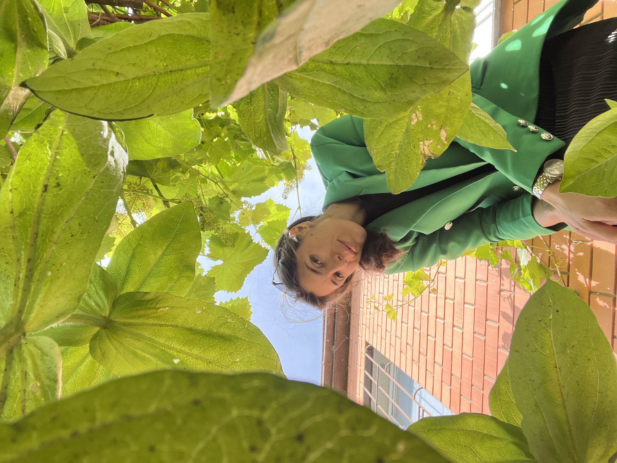 A low-angle outdoor photograph captures a woman looking down towards the camera, framed and partially obscured by a lush canopy of vibrant green leaves. The woman has brown hair, a calm and subtly smiling expression, and wears a vivid green blazer with distinctive golden buttons over a dark top. A golden watch with a round face and metal strap is visible on her left wrist, and sunglasses are perched on her head.
The abundant green foliage, likely from climbing vines such as grapevines, fills much of the foreground and surrounds the woman. Many leaves are translucent due to strong overhead sunlight, showcasing their intricate vein patterns. Some leaves exhibit small dark spots, possibly dirt or natural imperfections.
In the background, under a clear blue sky, a building constructed from reddish-brown bricks is visible to the right of the woman. A window with metal bars can be seen on the building's facade. The bright lighting indicates a sunny day. The scene depicts a tranquil outdoor setting, possibly a garden or courtyard in Kaspiysk, Russia. There is no visible text in the image.