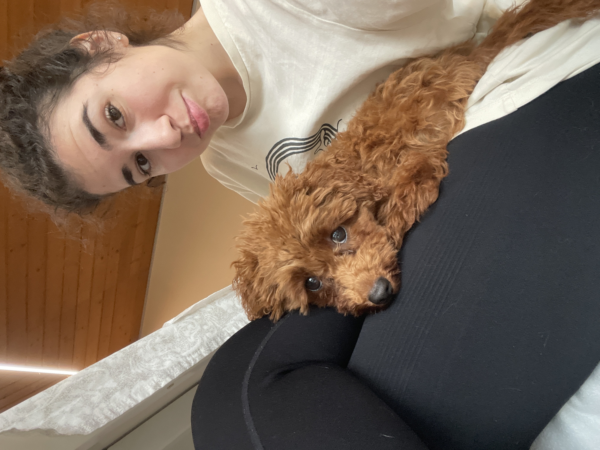 This indoor, close-up selfie captures a young woman and her small, reddish-brown poodle in a moment of companionship in Sofia, Bulgaria. The woman, positioned in the upper left, has dark, curly hair, full eyebrows, and is looking at the camera with a gentle smile. She is wearing a light-colored (possibly off-white) t-shirt with a subtle, dark, abstract graphic design near her chest.
Cradled against her body, likely on her lap or chest, is a toy poodle with curly, auburn fur and dark, expressive eyes. The dog's head is resting comfortably, gazing directly towards the camera, suggesting a calm and affectionate interaction with its owner. The woman's lower body is clad in dark, form-fitting attire, possibly black leggings.
The background shows elements of an indoor setting: wooden planks on what appears to be a ceiling or sloped wall, and a light-colored wall section. A white, textured fabric, possibly a duvet or blanket, is also visible, indicating a casual and comfortable home environment. The lighting suggests daytime indoors, without strong shadows. No discernible text is visible on the woman's shirt beyond the abstract design. The overall mood is warm and intimate, highlighting the bond between the woman and her pet.