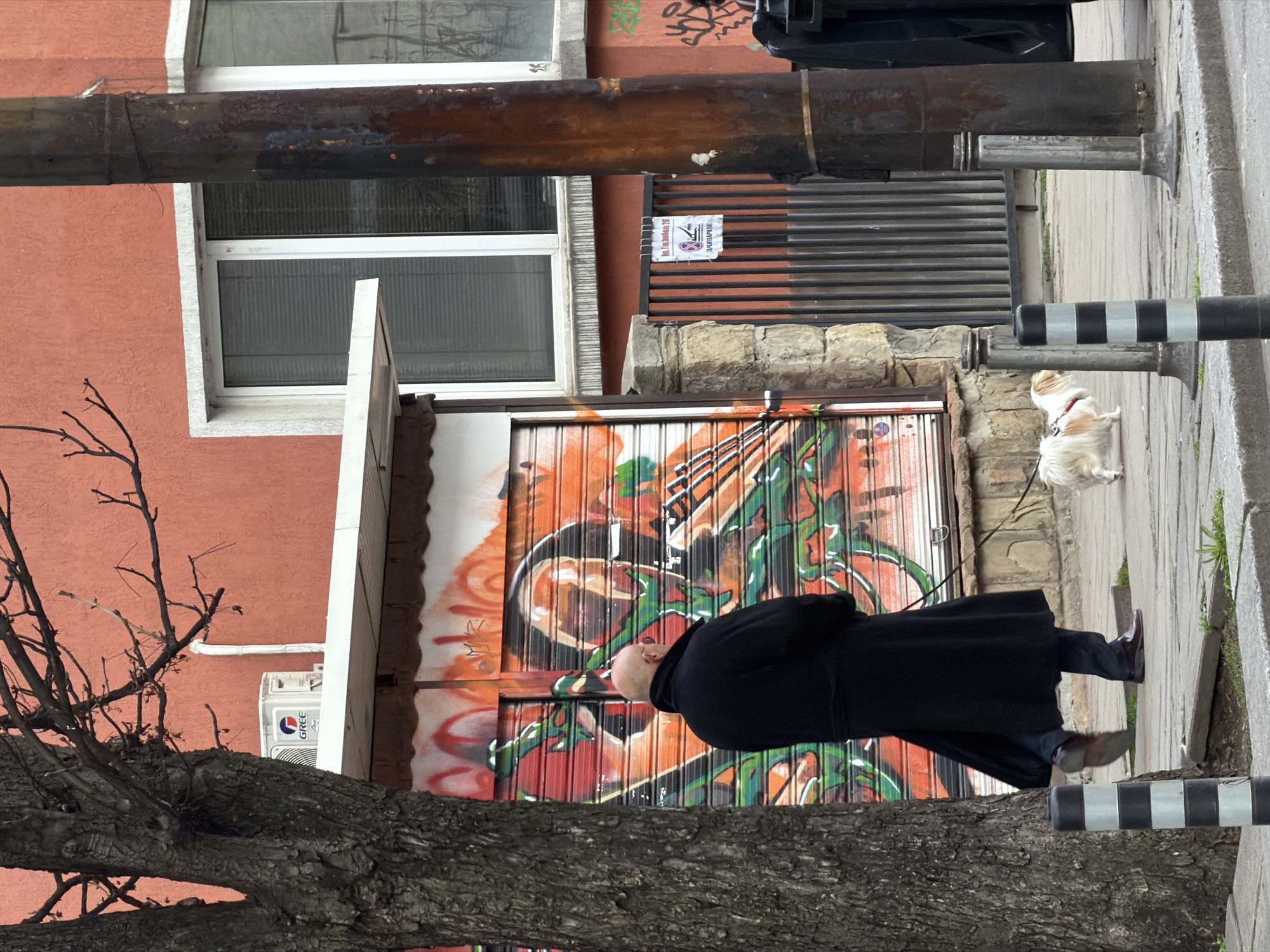 A man in a long black coat walks two small, white dogs on leashes on a sidewalk in Sofia, Bulgaria. The background includes a building with a painted roll-up door and a window. A tree branch is in the foreground. A striped pole is at the edge of the sidewalk.