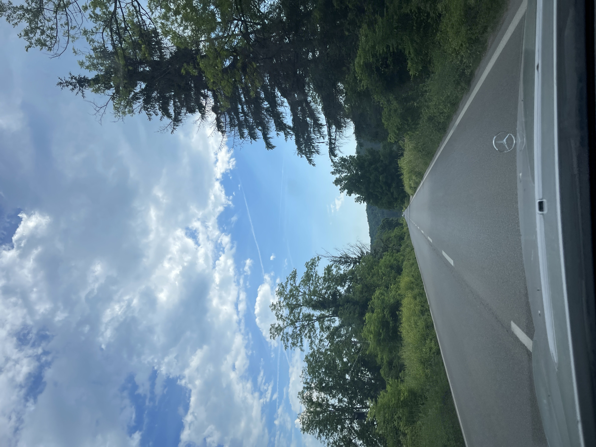 The image depicts a view from the driver's seat of a car traveling on a paved road through a rural area. The road is lined with dense green trees and vegetation on both sides, with a few taller pine trees visible on the right. The sky is blue with scattered white clouds. In the distance, the road curves and disappears into the landscape, with a few other vehicles visible on the road. The Mercedes-Benz logo is visible on the hood of the car in the foreground. The location is identified as Mezdreya, Bulgaria, suggesting a scenic drive through the Bulgarian countryside.