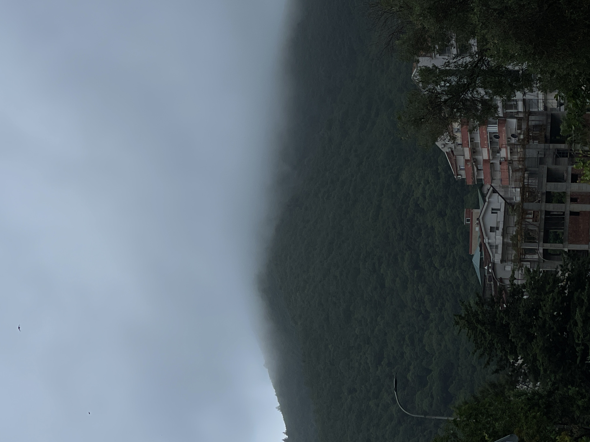 The image shows a landscape with a mountain range, a building complex, and a cloudy sky. The mountain range occupies the central part of the image, partially obscured by heavy fog or mist on the left side. The right side of the mountain is densely covered with dark green trees. Adjacent to the mountain, on the right side of the image, is a partially constructed building complex featuring a mix of completed and incomplete structures, with exposed brick and concrete framework visible. The sky is uniformly overcast, creating a diffuse, grey light. Two small birds are visible in the sky on the left side of the image. A curved streetlight pole is situated in the lower right corner. The location is in the city of Unknown, Unknown.