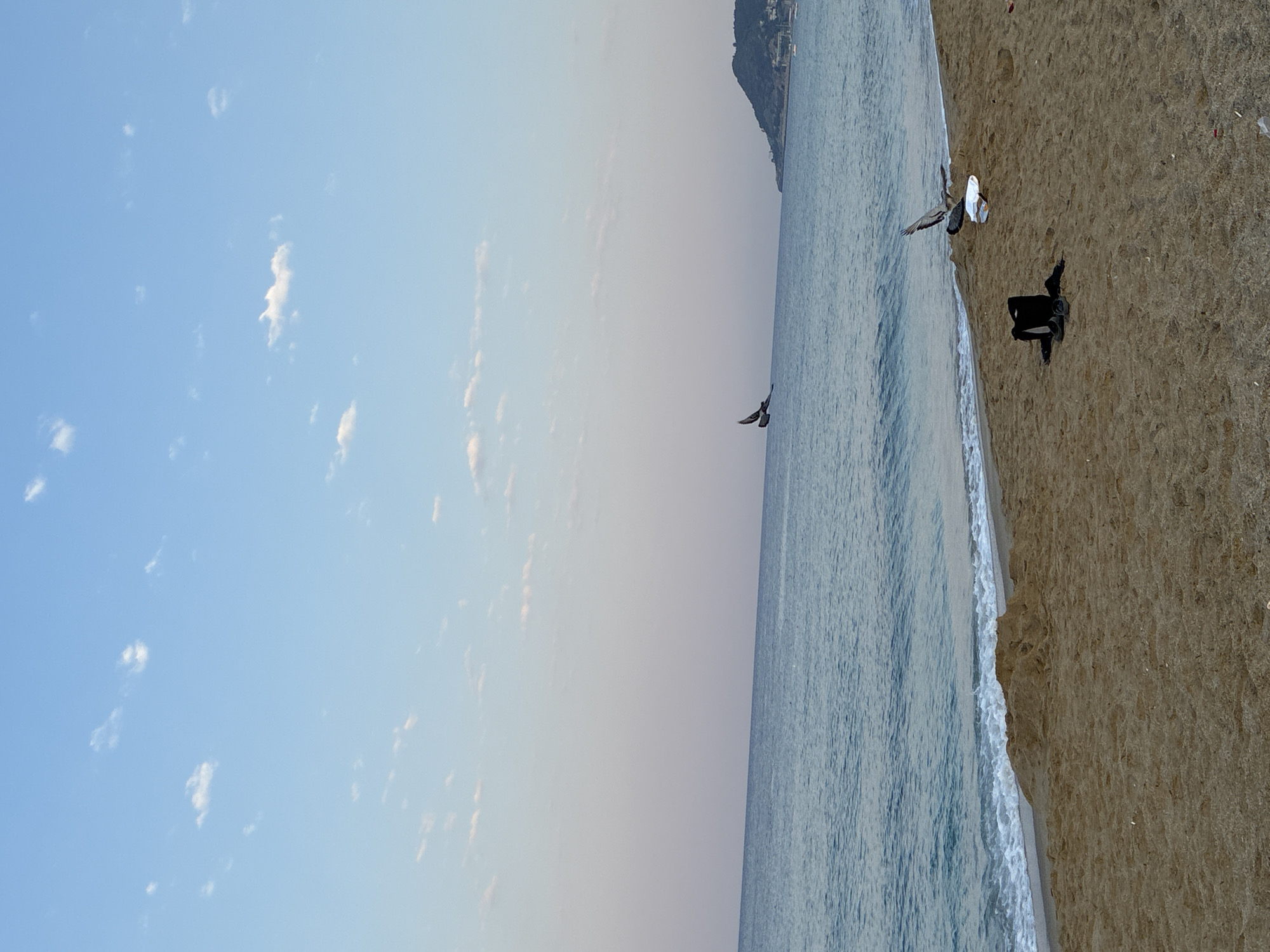 The image depicts a serene beach scene at dusk in Alanya, Turkey. The sky is a gradient of soft blues and pinks, with scattered white clouds. The calm sea stretches to the horizon, where a lush green hill with buildings is visible. The sandy beach in the foreground is mostly empty, with gentle waves lapping at the shore.
In the middle distance, two birds are in flight over the water. On the beach, a black bag and a pair of sandals are placed on the sand. To the right, another bird is perched on the sand near a white object. A small mound of sandcastle-like structure is visible closer to the water's edge. The overall atmosphere is tranquil and peaceful.