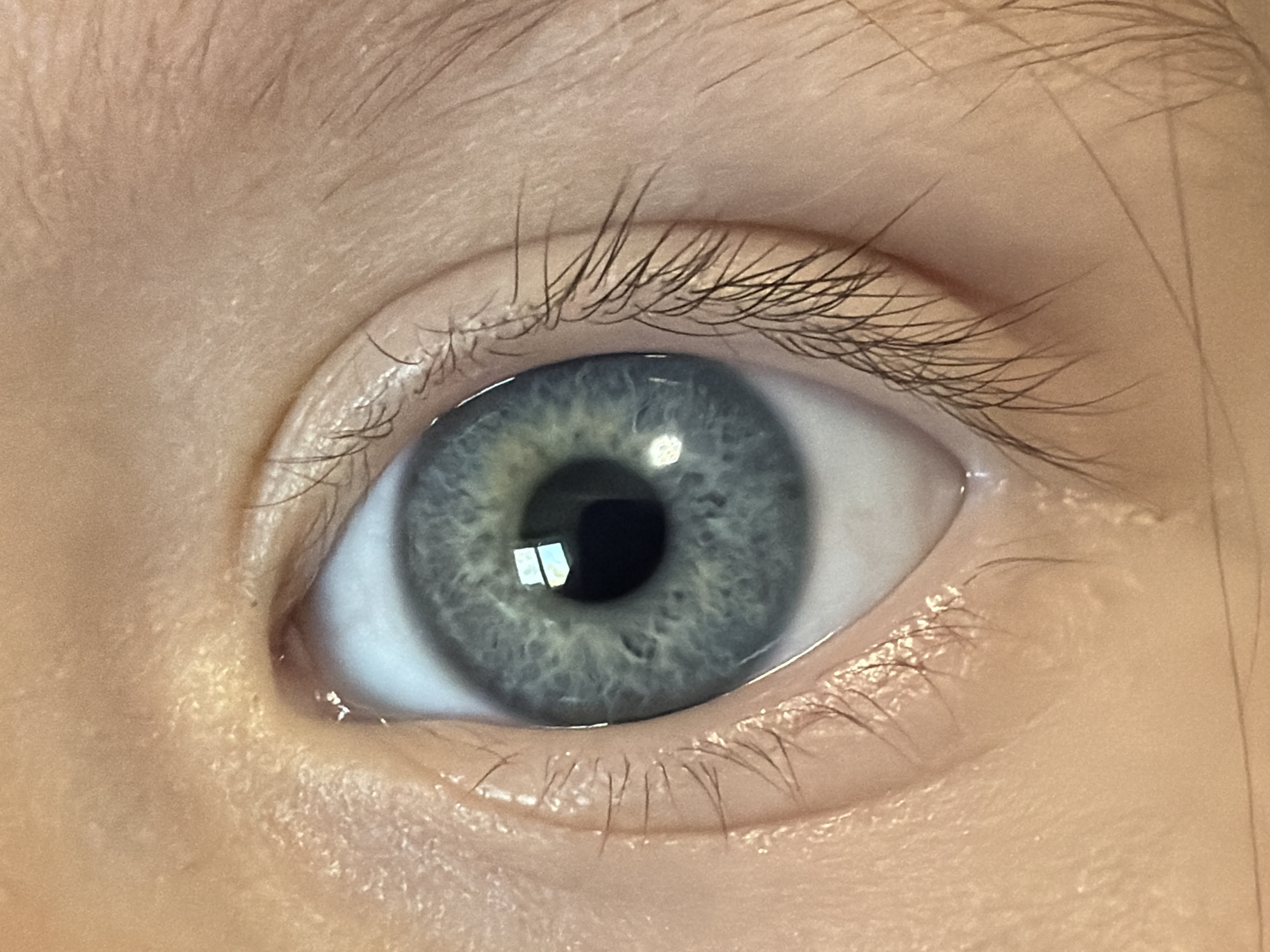 The image shows a close-up of a human eye. The iris is a light blue-gray color with variations in shade and texture. The pupil is black and round, reflecting light. Eyelashes are visible along the upper and lower lids. Skin surrounds the eye. The location in Chaikovsky, Russia is unknown.