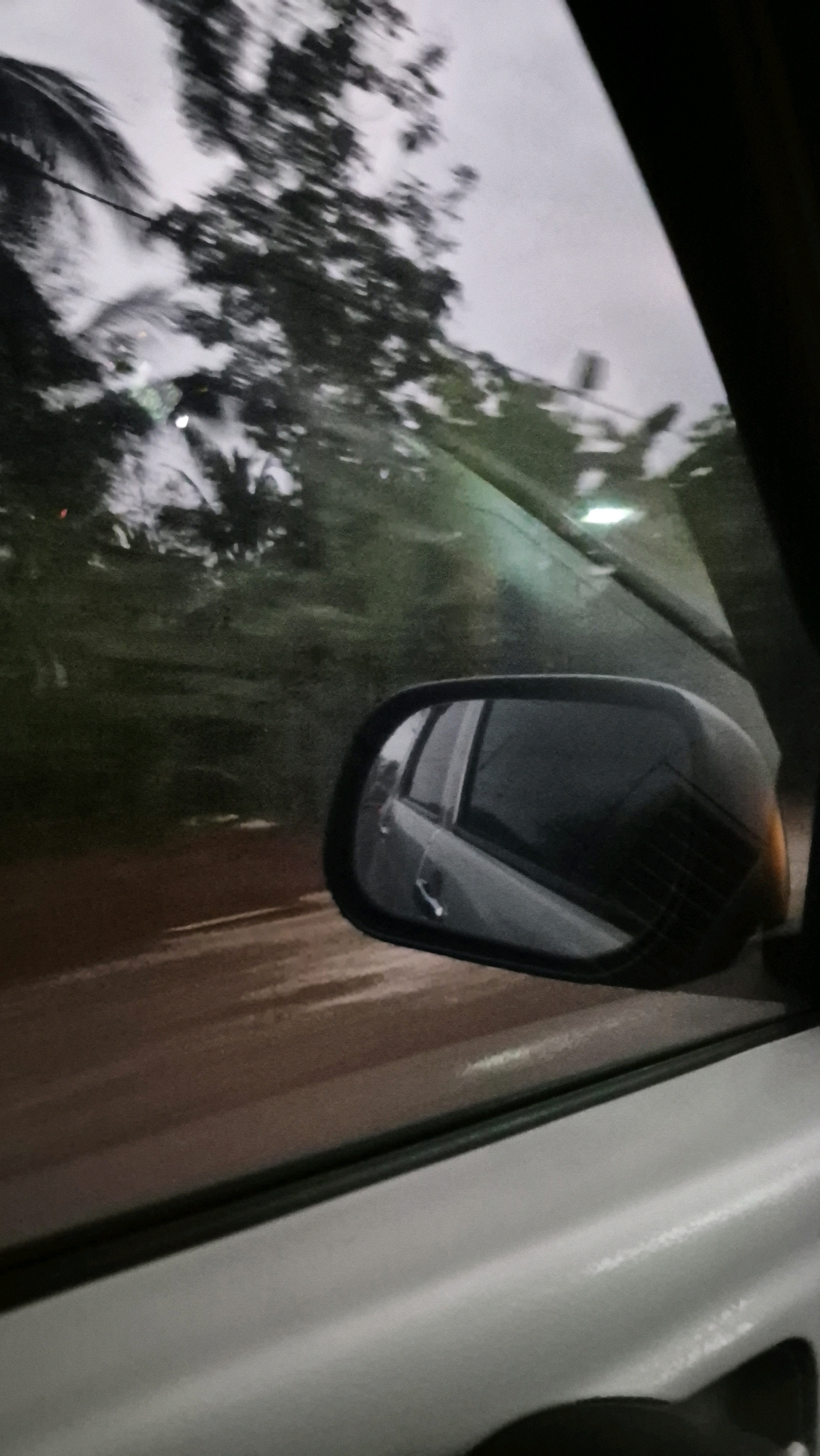 The image is a low-angle, vertical, and blurry shot of the view from inside a moving vehicle. The scene is taken at eye level, looking out the passenger side window. The foreground is dominated by the white interior of the car door and a black handle at the bottom right. The middle ground features a side-view mirror, reflecting the interior of the car, and the dark exterior of the car's frame. The background is heavily blurred due to motion, showing a mix of dark green foliage and a grey, overcast sky. A thin, horizontal line of light, possibly from streetlights or headlights, is visible in the upper portion of the background. The overall impression is that of a journey through a somewhat overcast, possibly rural or suburban area in Batuwarno, Indonesia, during twilight or a cloudy day. There are no people or explicit interactions visible.