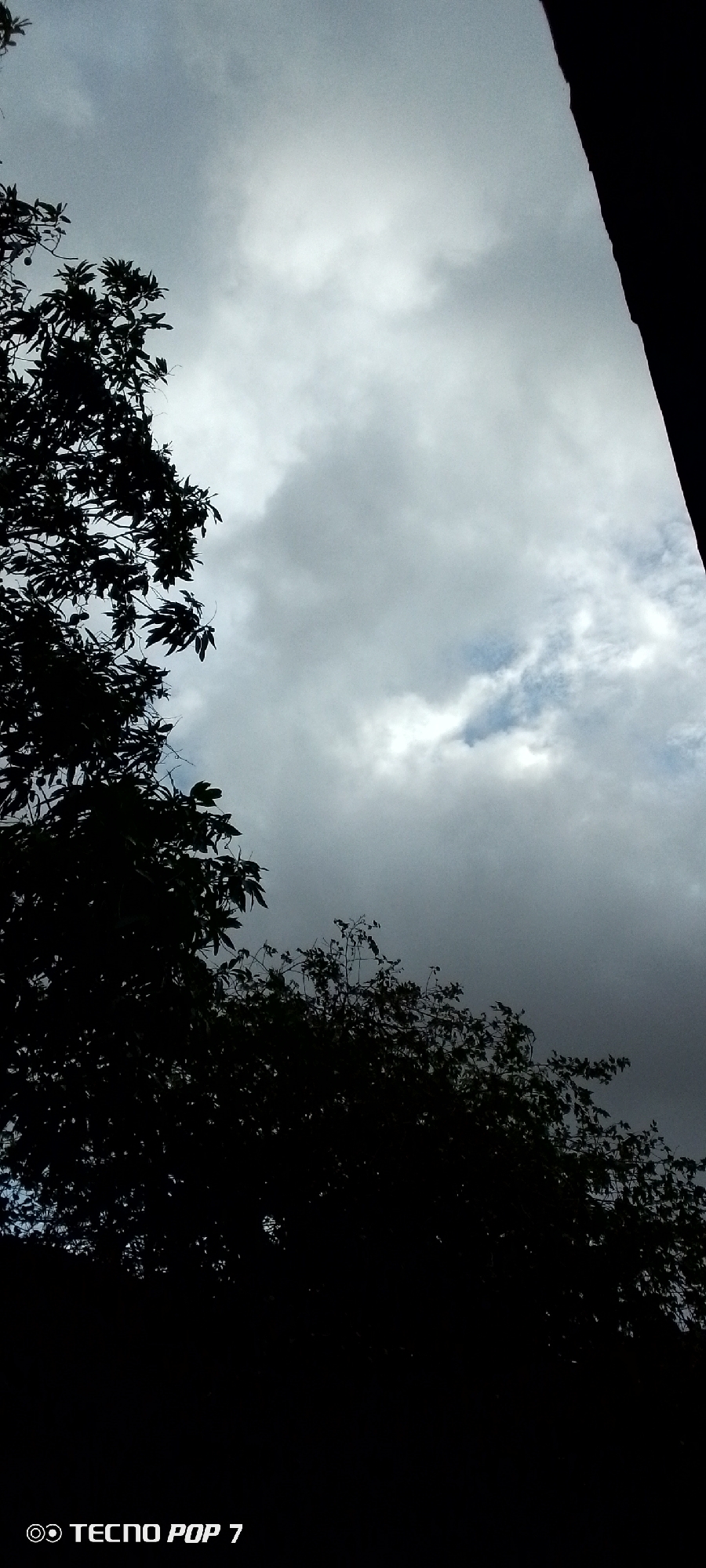 The image depicts a silhouetted view of trees against a cloudy sky. The sky is predominantly gray with patches of brighter white clouds, and a hint of blue sky peeking through in one area. The trees are dark and featureless, their branches and leaves creating an intricate pattern against the sky. The lower portion of the image is almost entirely black, obscuring any ground details, with the exception of a logo in the bottom left corner that reads "TECNO POP 7." The overall impression is one of a slightly overcast or moody atmosphere. The image does not contain any people, actions, or interactions, and no specific location within Altagracia, Venezuela, can be determined from the visual information provided.