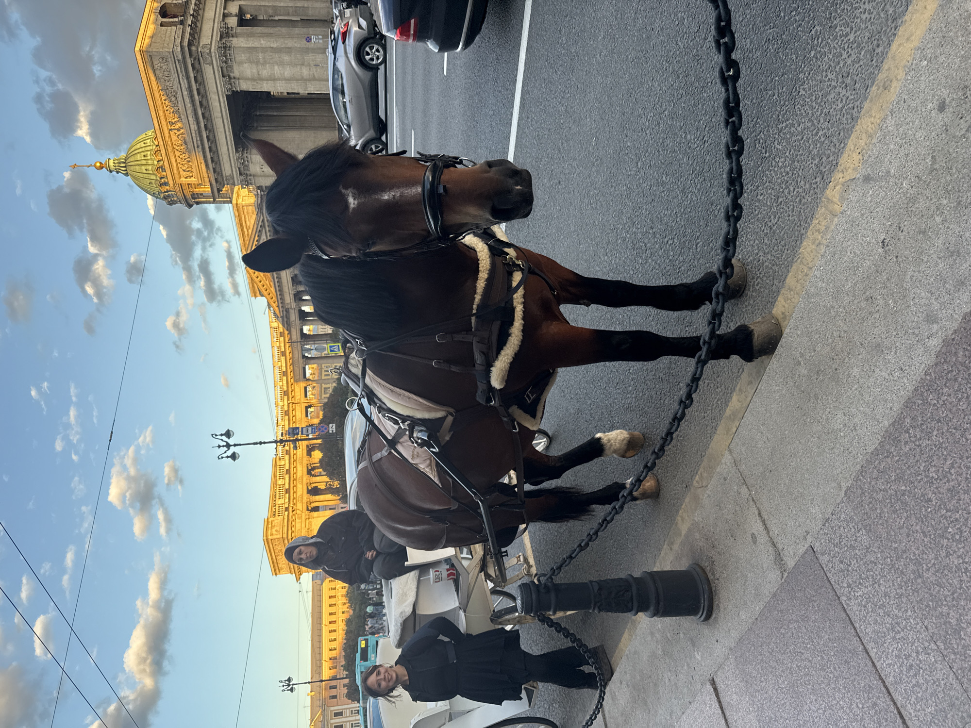 In Saint Petersburg, Russia, on a paved street next to a sidewalk, a horse-drawn carriage is parked. The horse, a brown equine with a dark mane and tail, is harnessed and facing the camera. A woman in a dark dress stands next to the carriage on the sidewalk, while another person sits in the carriage. In the background, a grand building with a green dome and classical architecture, likely Kazan Cathedral, is visible, bathed in the warm light of sunset. Cars are parked and driving on the road, and streetlights line the sidewalk. The sky above is a mix of blue and scattered clouds.