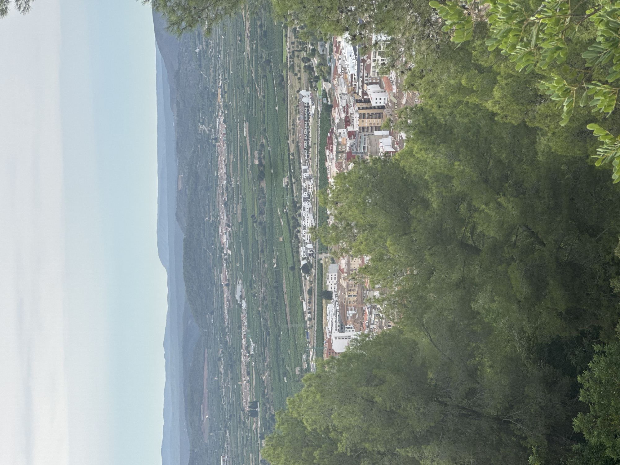 This is a high-angle, medium-shot photograph taken from a forested vantage point overlooking the town of El Genovés, Spain. The foreground is dominated by the dark green foliage of pine trees and other lush vegetation, creating a natural framing for the scene.
In the mid-ground, the town of El Genovés unfolds. Buildings with white and reddish-brown facades are clustered together, forming a dense urban landscape. Some taller, modern apartment buildings with white exteriors and balconies are visible, interspersed with older structures featuring terracotta-tiled roofs. A construction crane, a hint of ongoing development, is present among the buildings.
The background reveals a vast agricultural plain, characterized by neatly arranged green fields, possibly vineyards or orchards, stretching towards distant, hazy blue mountains. The sky is overcast and a pale, soft blue, indicating a diffused light. The overall impression is one of a peaceful rural landscape with a settled urban center nestled within it.