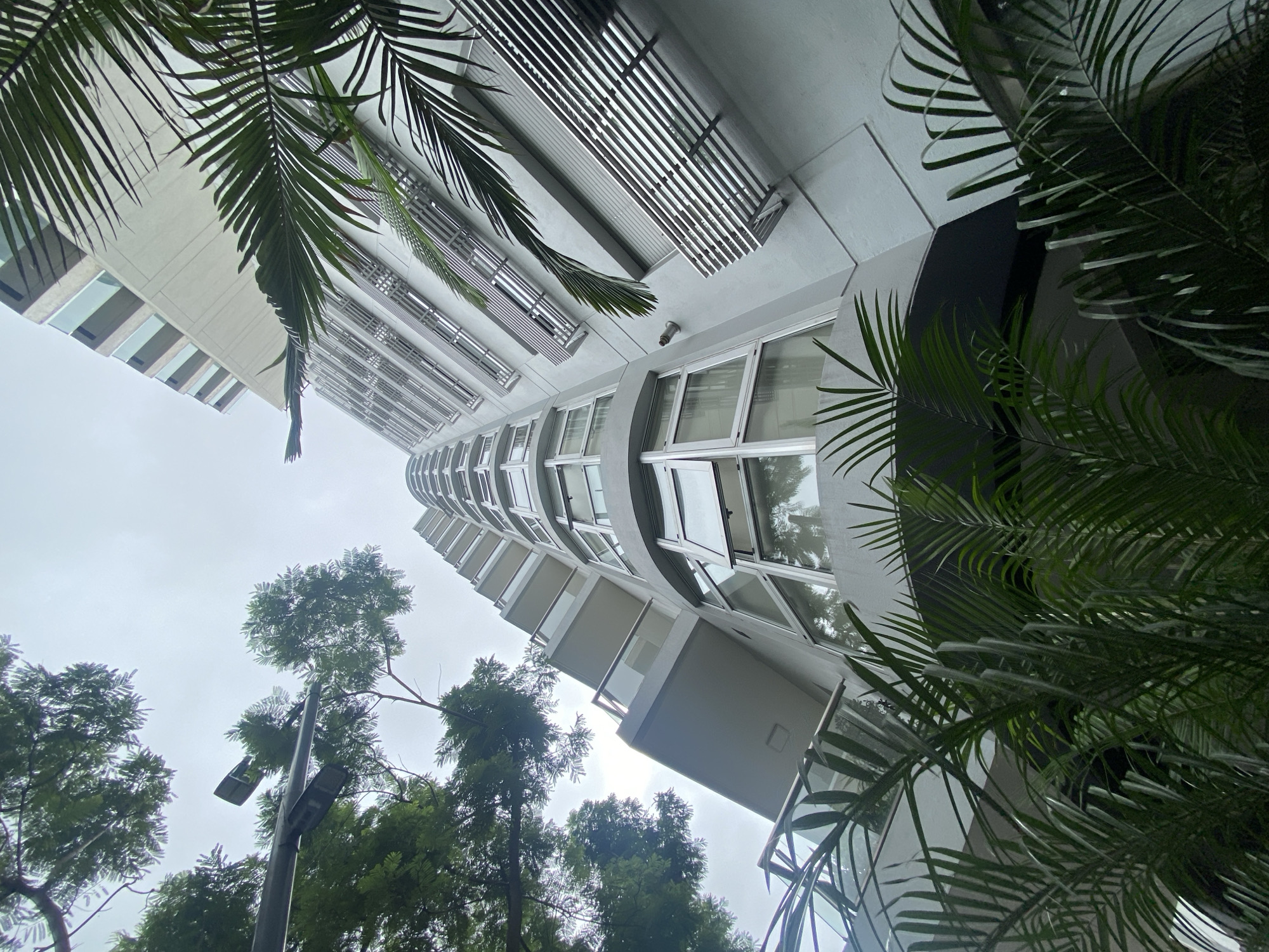 A low-angle shot of a tall, curved building, possibly a residential or office tower, set against a cloudy sky. The building is characterized by white or light-colored facade, with repeating patterns of windows and balconies. Palm trees are visible on the top and bottom left side of the frame, with the rest of the bottom consisting of leafy trees. Also on the bottom left, a streetlight pole is present. Based on the architecture and plant life, this may be located in the city of Buenos Aires, Argentina.