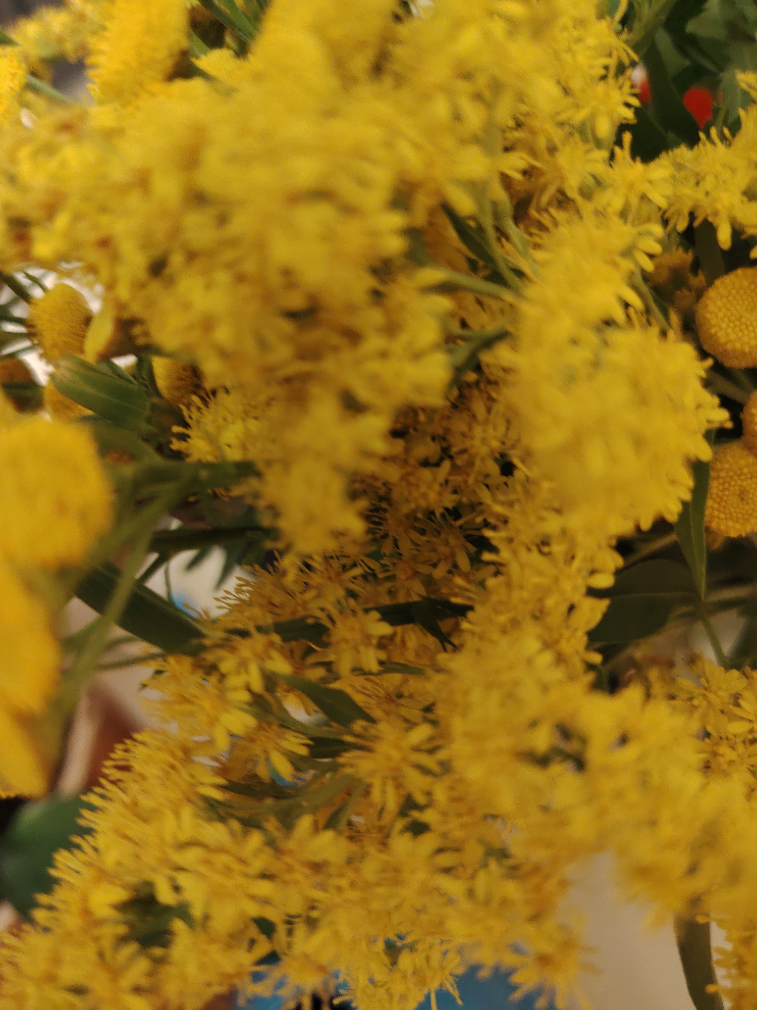 A close-up, shallow depth of field shot shows a bouquet of bright yellow flowers with green stems. The flowers are small and clustered together, with some individual petals visible. The background is blurred, with hints of green foliage and a light blue object. No people or animals are present in the image. The setting is an indoor environment, with no identifiable landmarks of Konakovo, Russia visible.