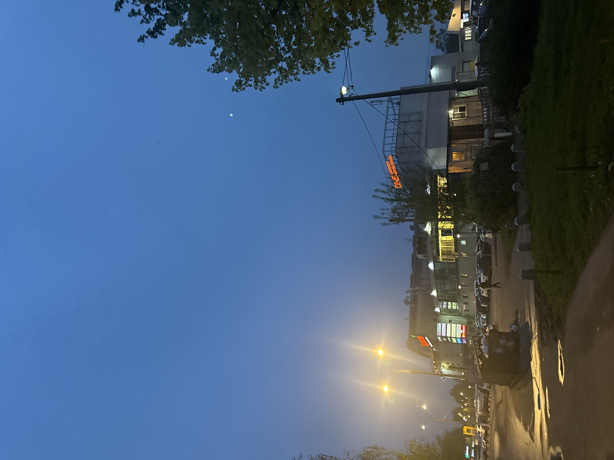 The image depicts an urban scene in Mytishchi, Russia at dusk. The sky is a gradient of blue, with trees partially obscuring the top left corner. Buildings line the right side of the frame, illuminated by street lights. A sign with orange letters, "Красный Кит" (Red Whale), is visible on one building. Further down the street, there are more buildings with illuminated signs in Cyrillic. Cars and pedestrians are visible on the street. A garbage dumpster overflowing with refuse is visible near the bottom right. The road surface is wet, reflecting the street lights. A telephone pole is on the top.